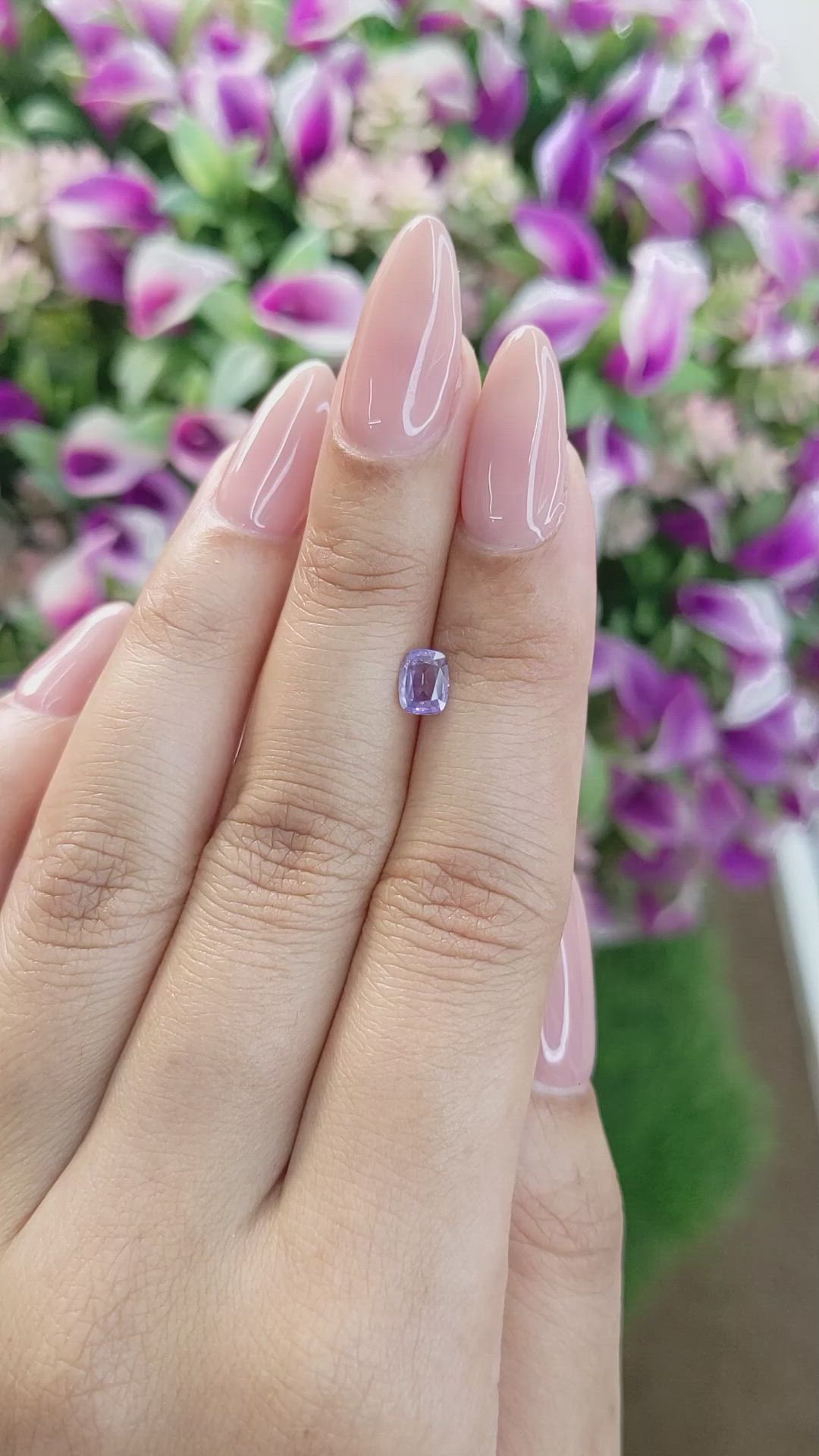 0.51 Ct. Purple Sapphire from Ceylon (Sri Lanka) Size Video
