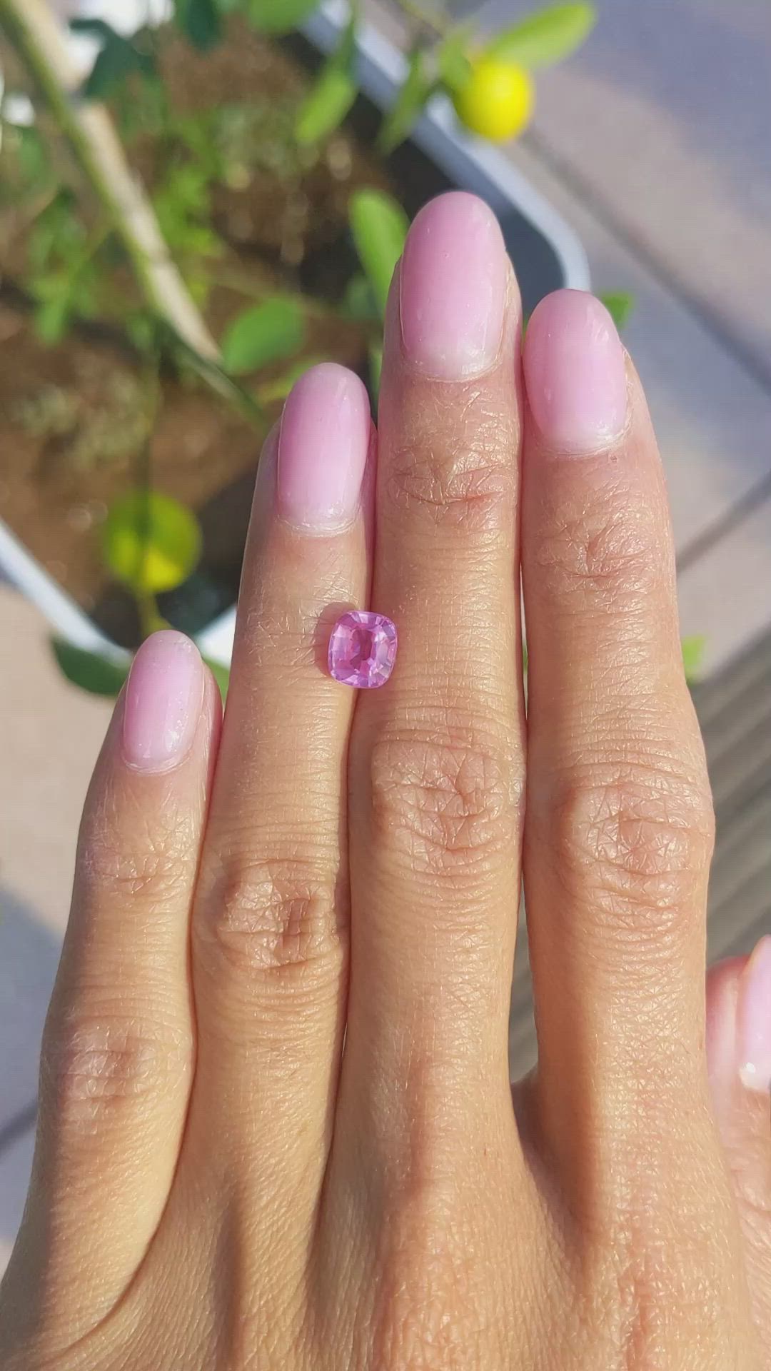 1.86 Ct. Pink Sapphire from Ceylon (Sri Lanka) Size Video