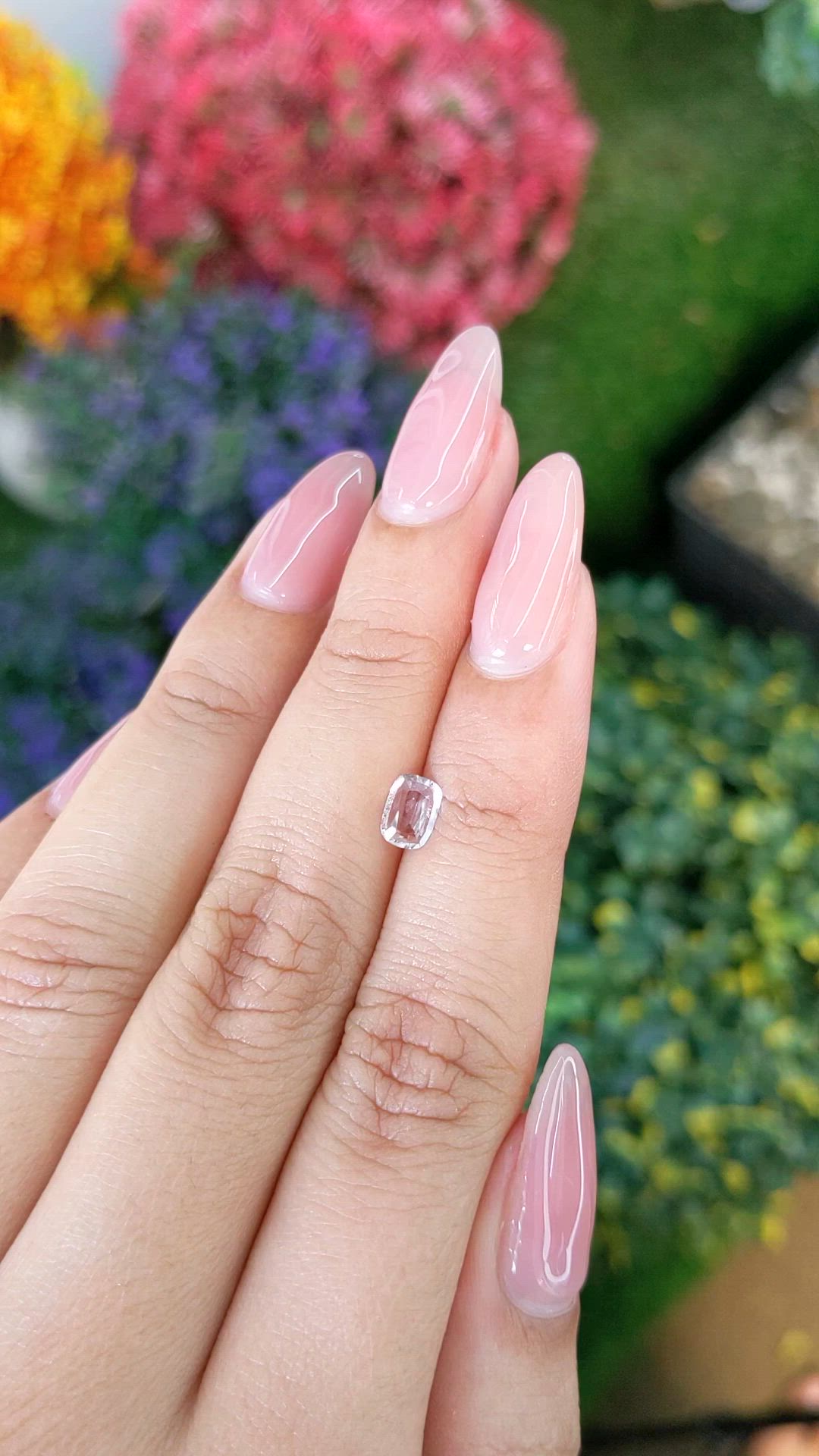 0.54 Ct. Pink Sapphire from Ceylon (Sri Lanka) Size Video