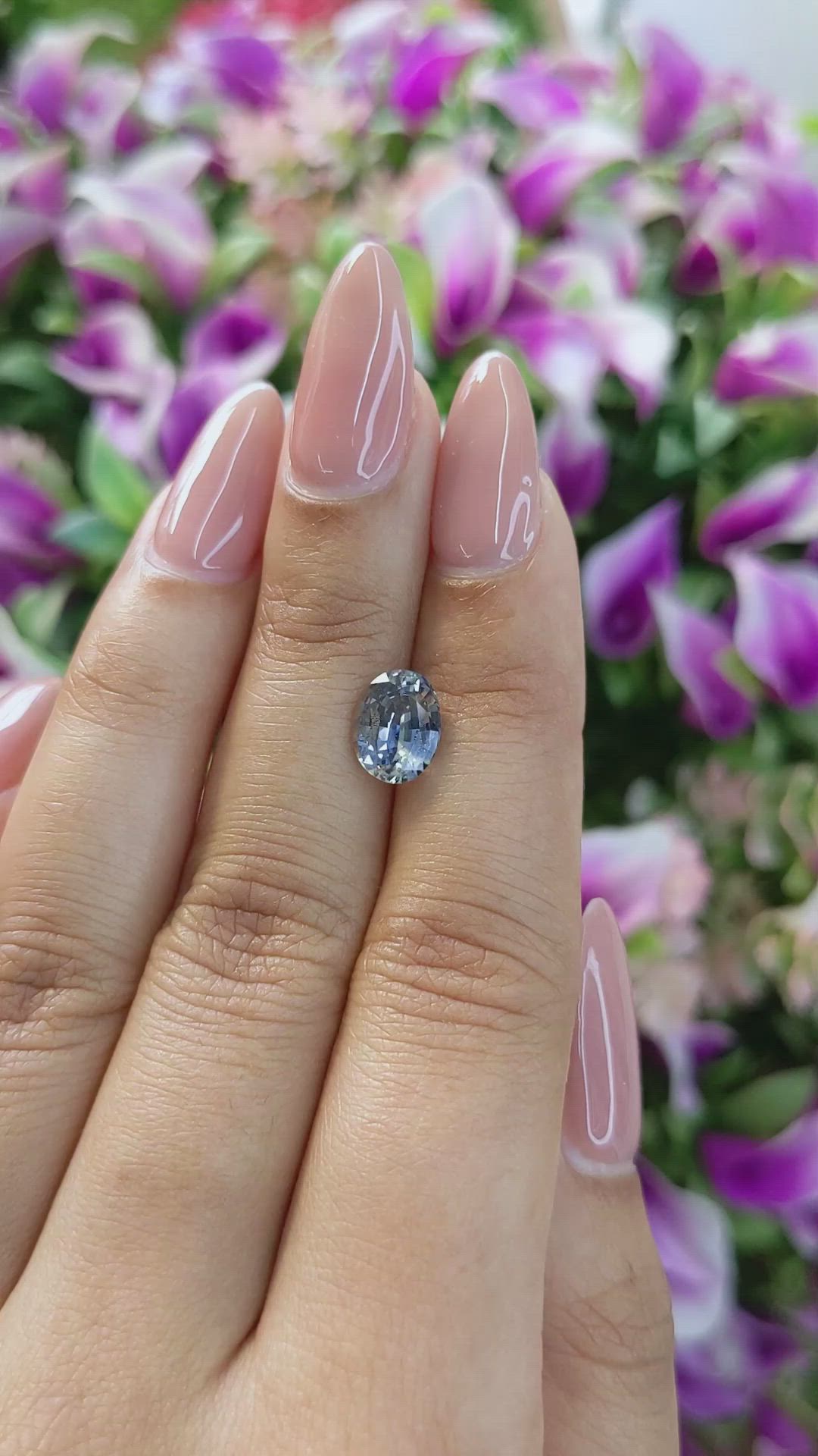 2.33 Ct. Bi Color Sapphire from Ceylon (Sri Lanka) Size Video