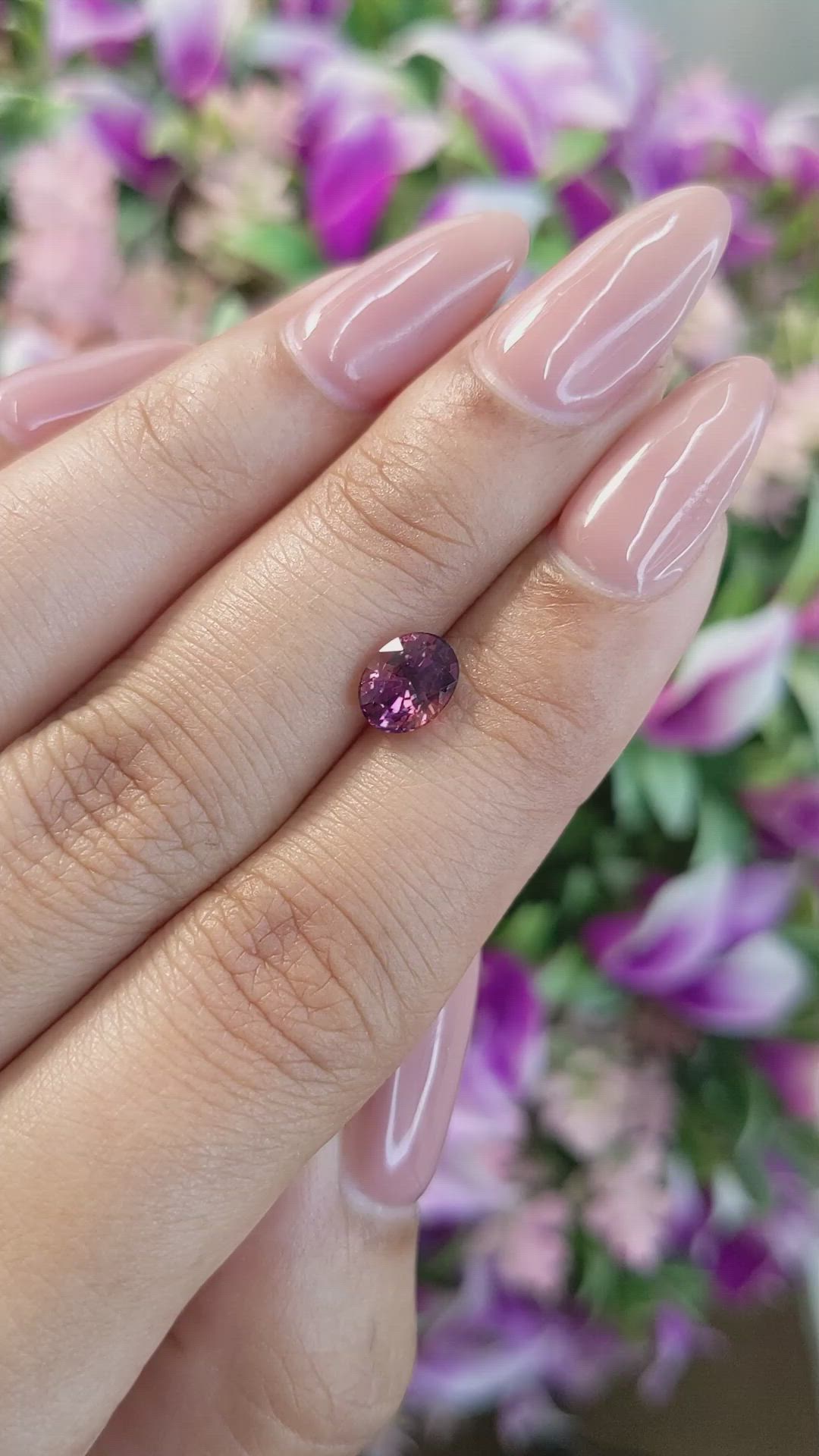 1.52 Ct. Bi Color Sapphire from Ceylon (Sri Lanka) Size Video