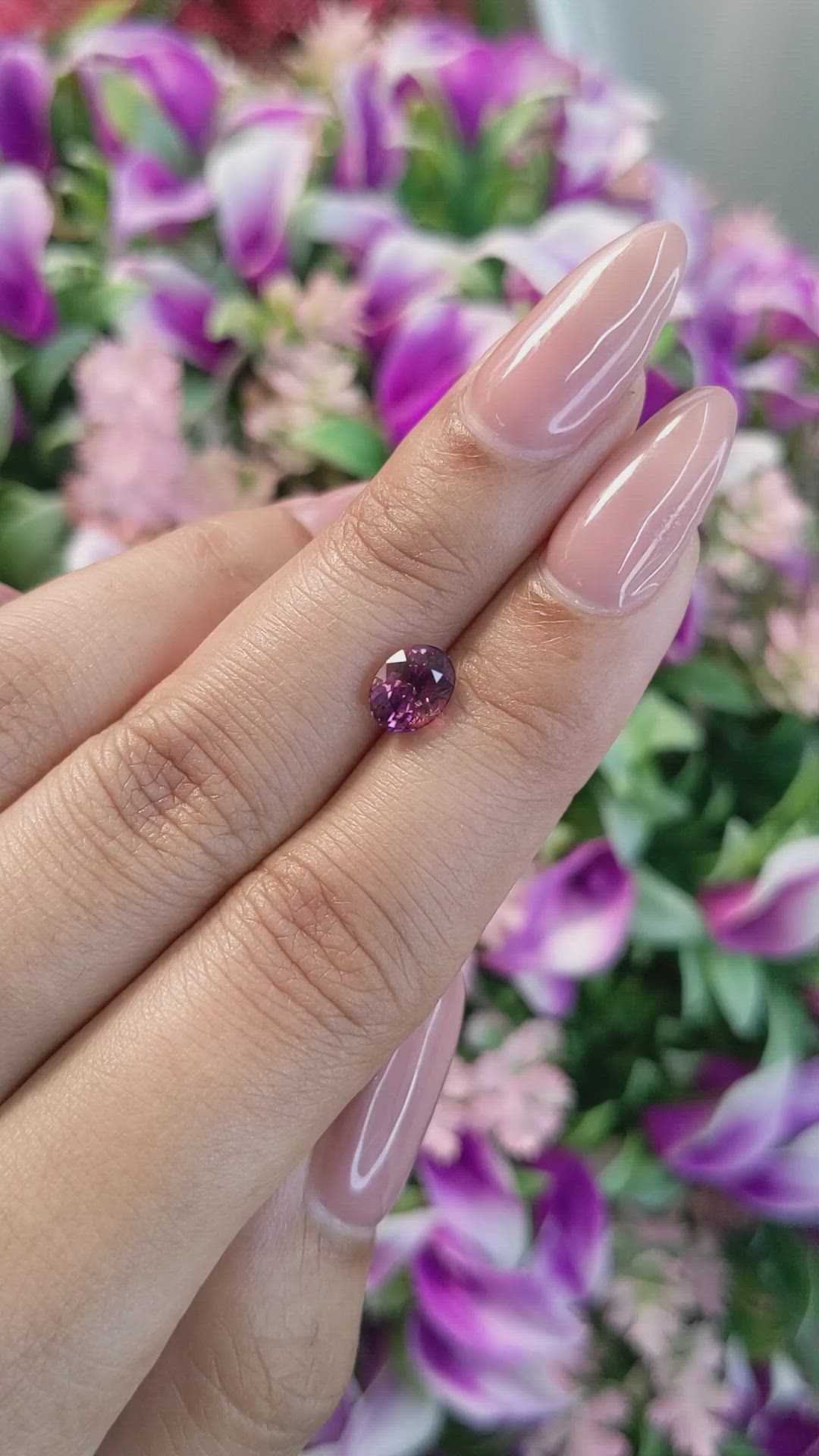 1.52 Ct. Bi Color Sapphire from Ceylon (Sri Lanka) Size Video