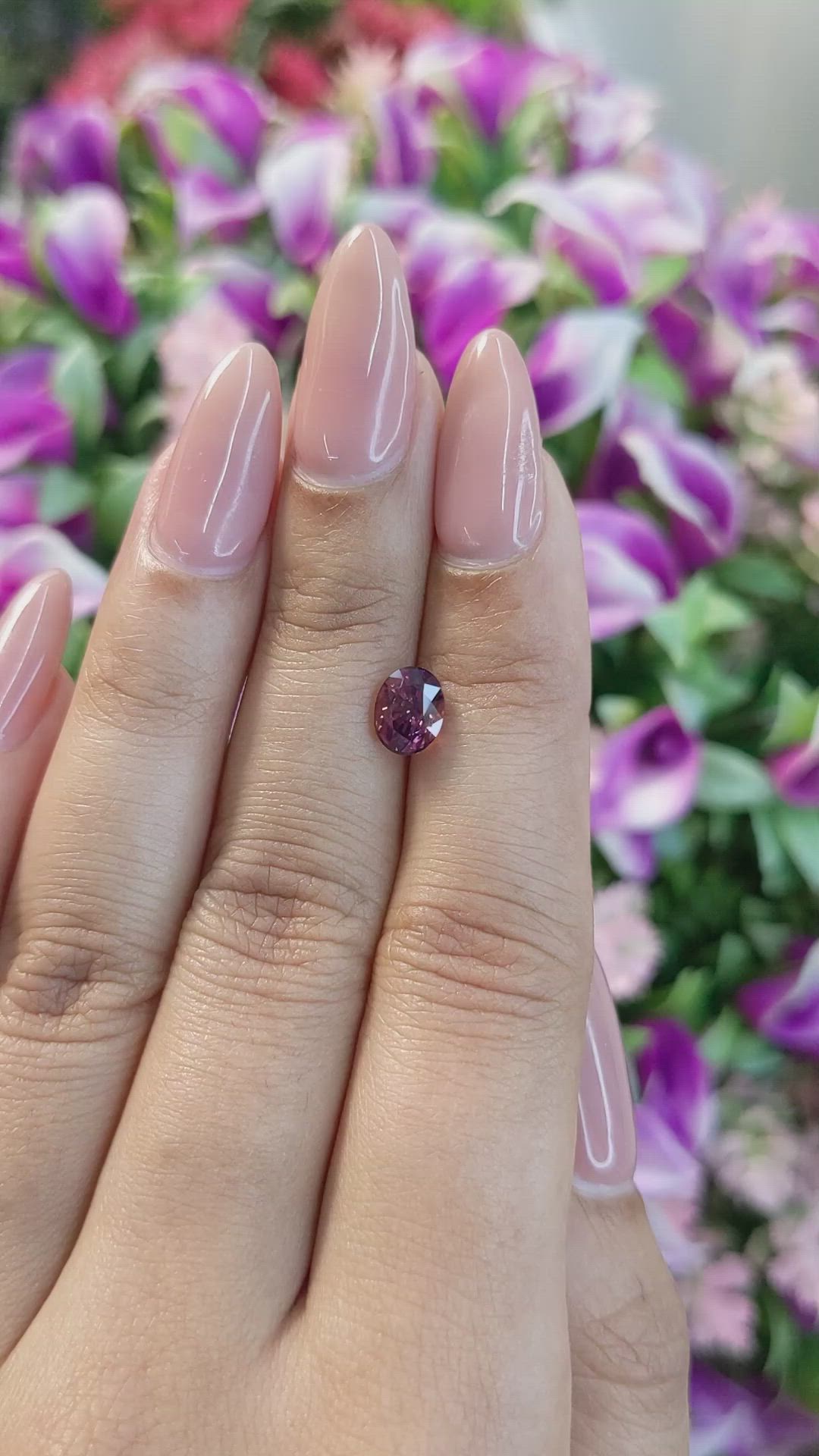 1.52 Ct. Bi Color Sapphire from Ceylon (Sri Lanka) Size Video