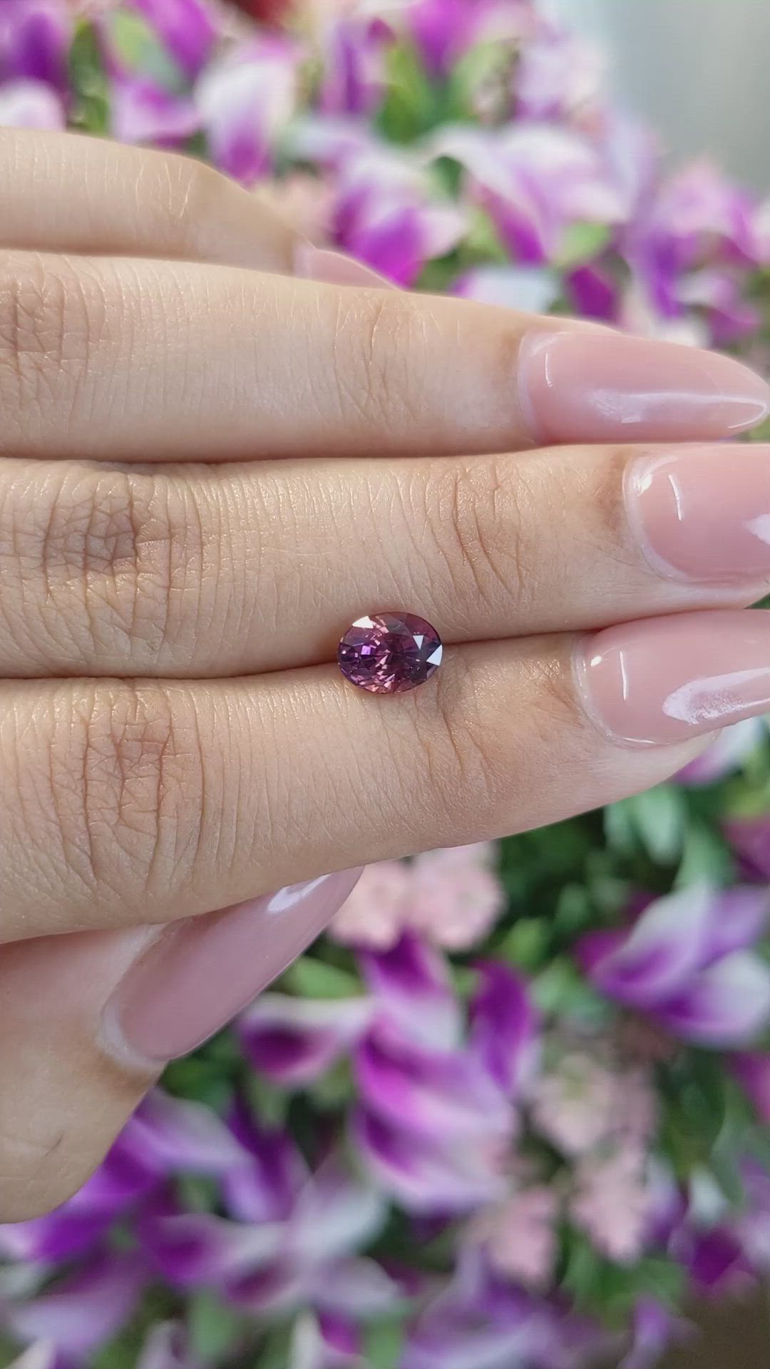 1.52 Ct. Bi Color Sapphire from Ceylon (Sri Lanka) Size Video