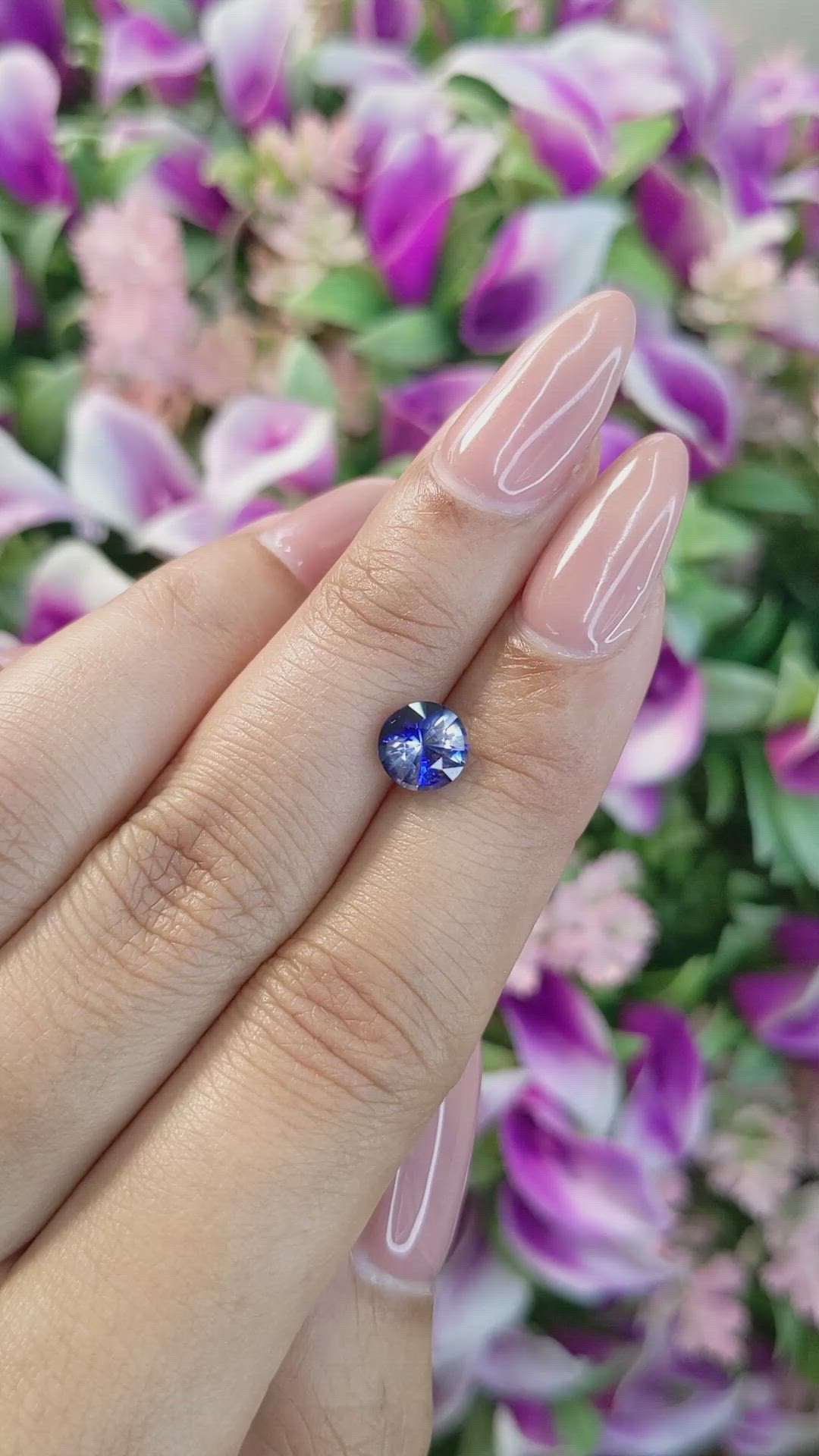 1.61 Ct. Bi Color Sapphire from Ceylon (Sri Lanka) Size Video