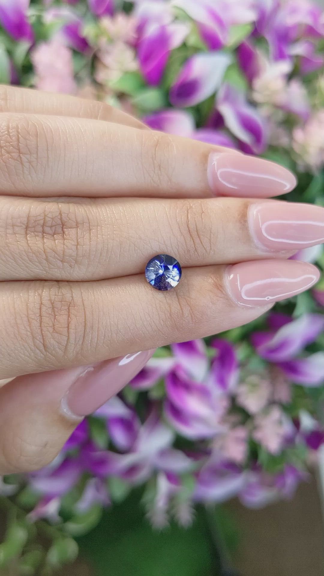 1.61 Ct. Bi Color Sapphire from Ceylon (Sri Lanka) Size Video