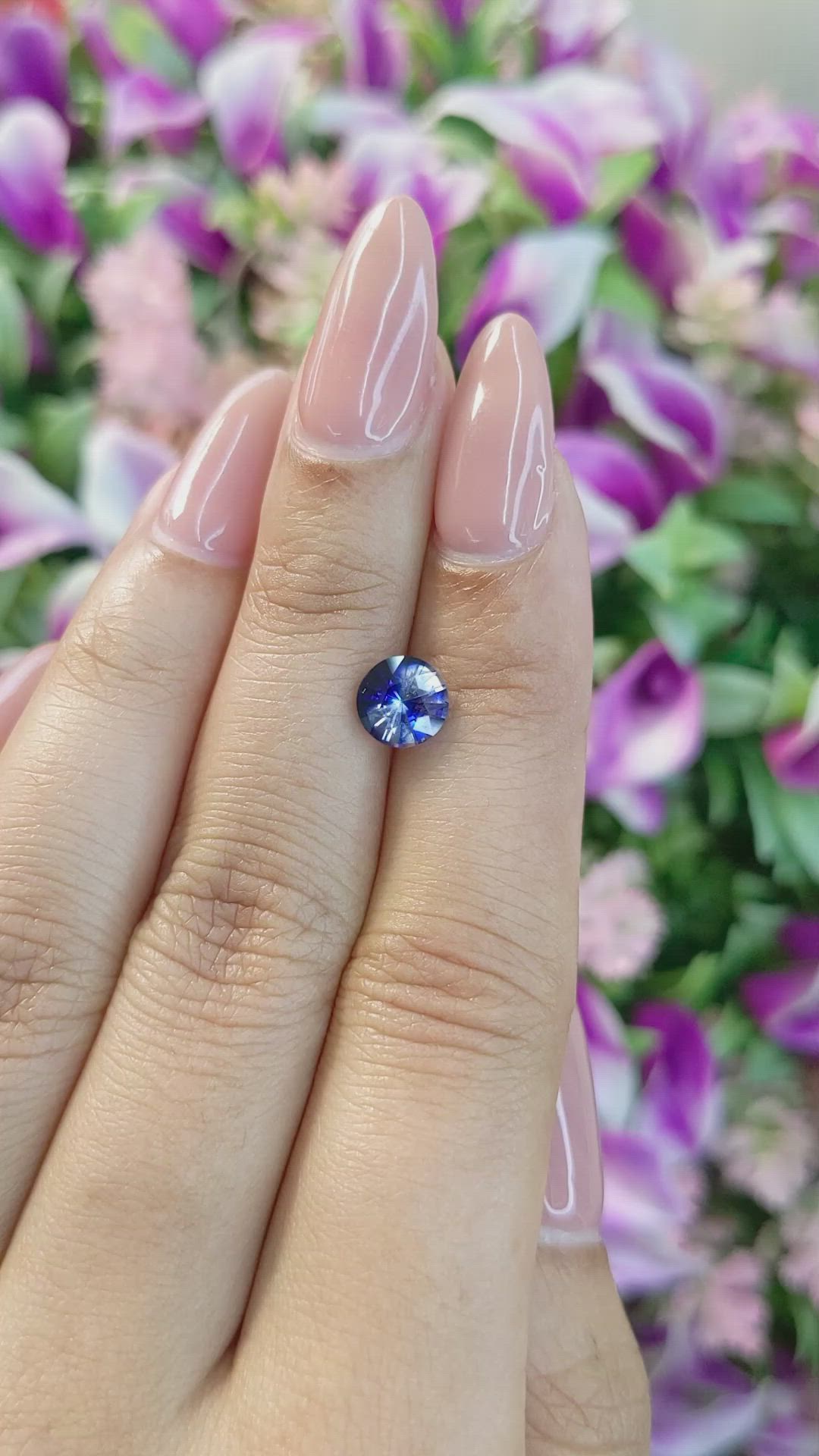 1.61 Ct. Bi Color Sapphire from Ceylon (Sri Lanka) Size Video