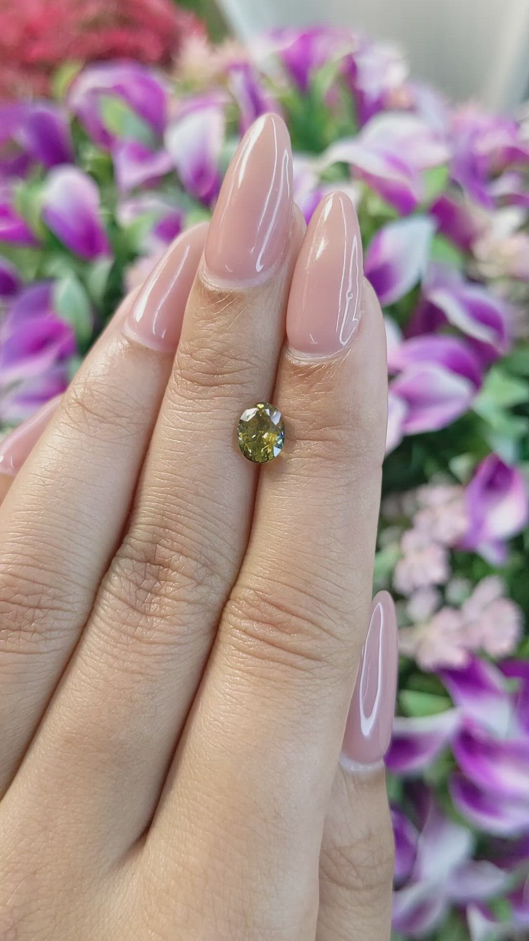 1.71 Ct. Bi Color Sapphire from Ceylon (Sri Lanka) Size Video
