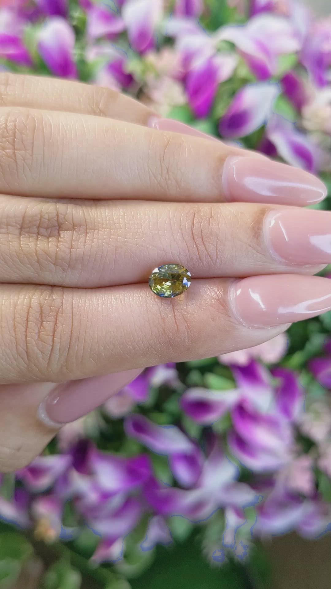 1.71 Ct. Bi Color Sapphire from Ceylon (Sri Lanka) Size Video