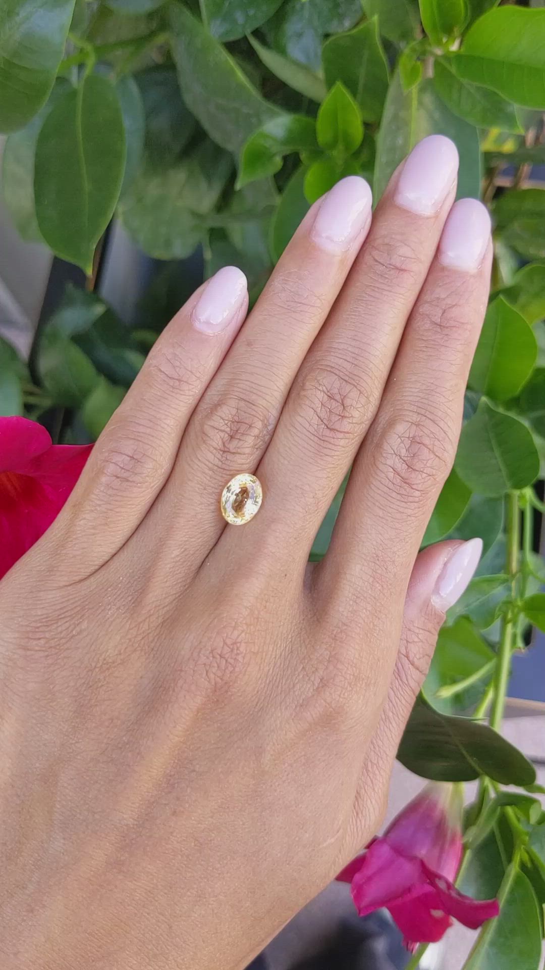 3.03 Ct. Peach Sapphire from Ceylon (Sri Lanka) Size Video