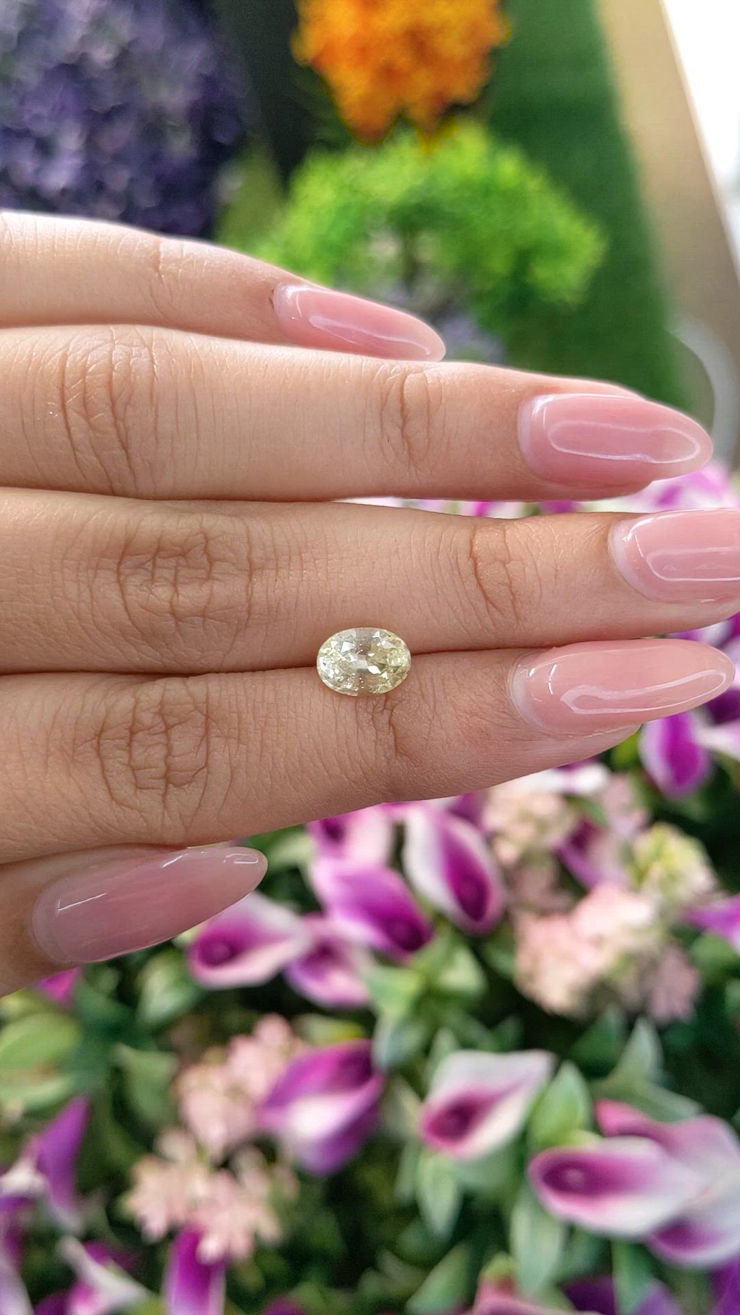 1.82 Ct. Yellow Sapphire from Ceylon (Sri Lanka) Size Video