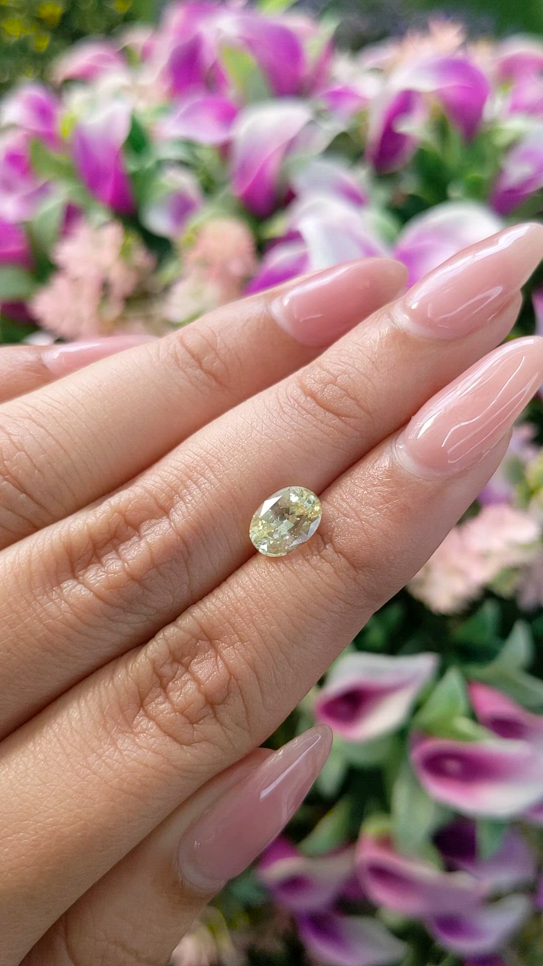 1.82 Ct. Yellow Sapphire from Ceylon (Sri Lanka) Size Video