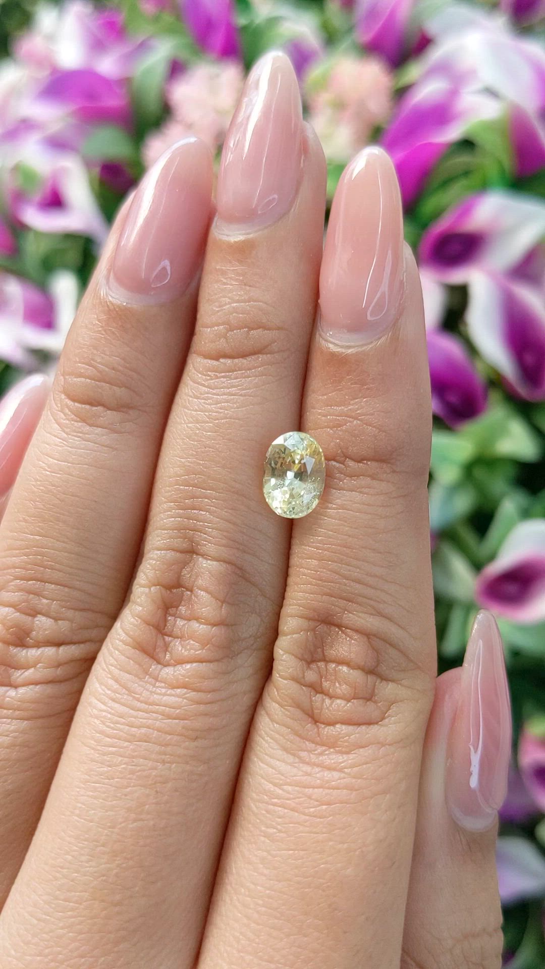 1.82 Ct. Yellow Sapphire from Ceylon (Sri Lanka) Size Video