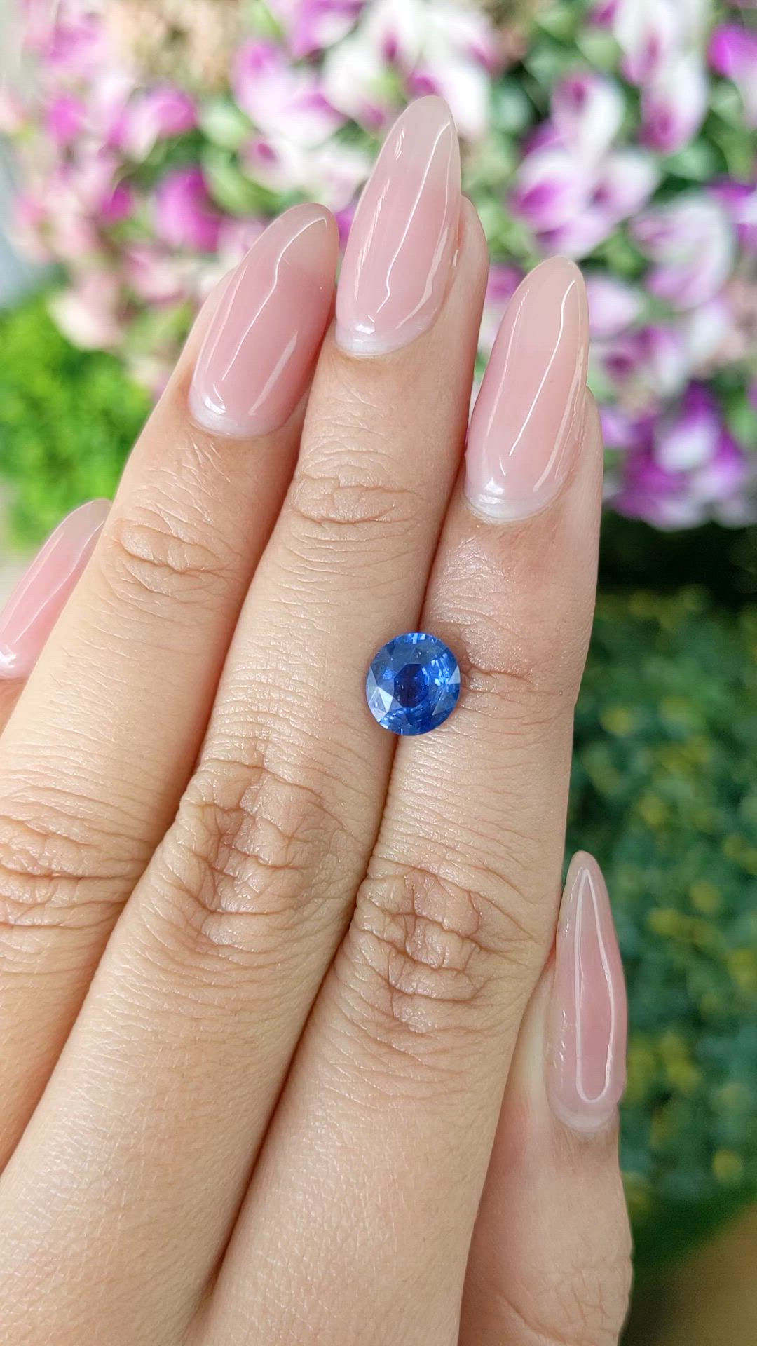 1.59 Ct. Blue Sapphire from Ceylon (Sri Lanka) Size Video