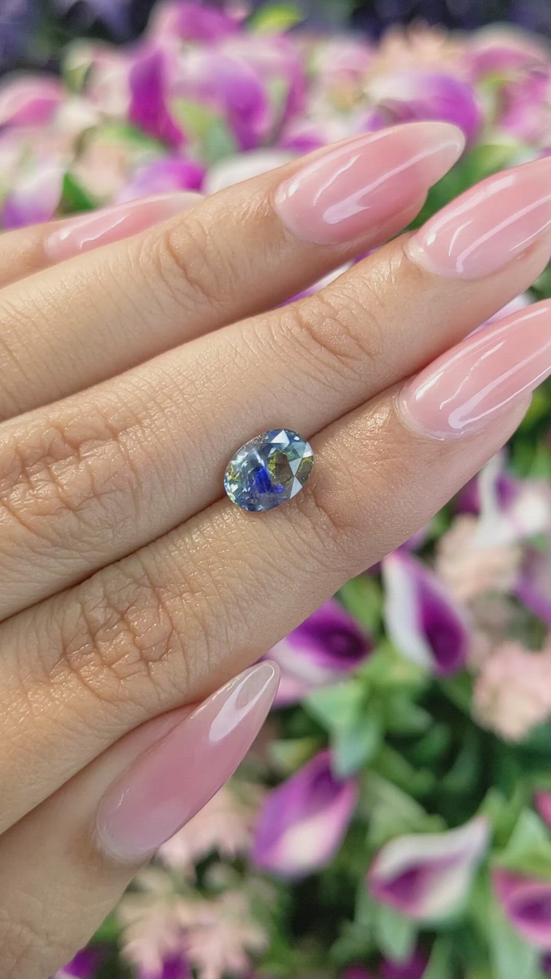 2.03 Ct. Bi Color Sapphire from Ceylon (Sri Lanka) Size Video