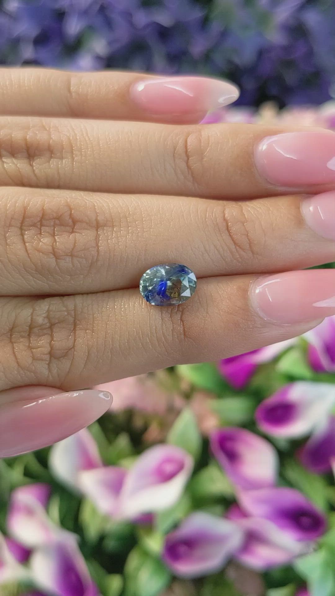 2.03 Ct. Bi Color Sapphire from Ceylon (Sri Lanka) Size Video