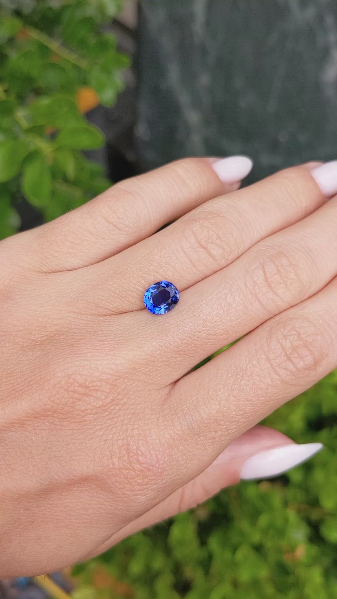 1.61 Ct. Blue Sapphire from Ceylon (Sri Lanka) Size Video