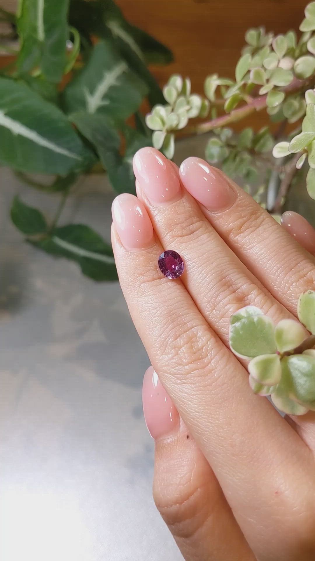 1.65 Ct. Reddish Pink Sapphire from Ceylon (Sri Lanka) Size Video