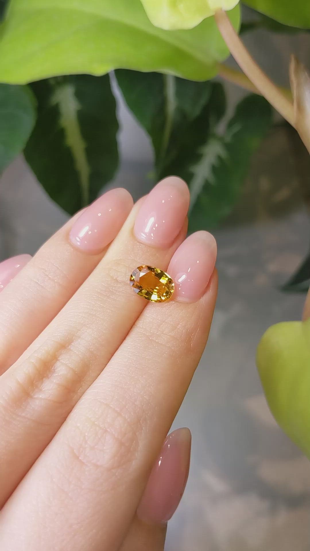 2.10 Ct. Orangish Yellow Sapphire from Ceylon (Sri Lanka) Size Video