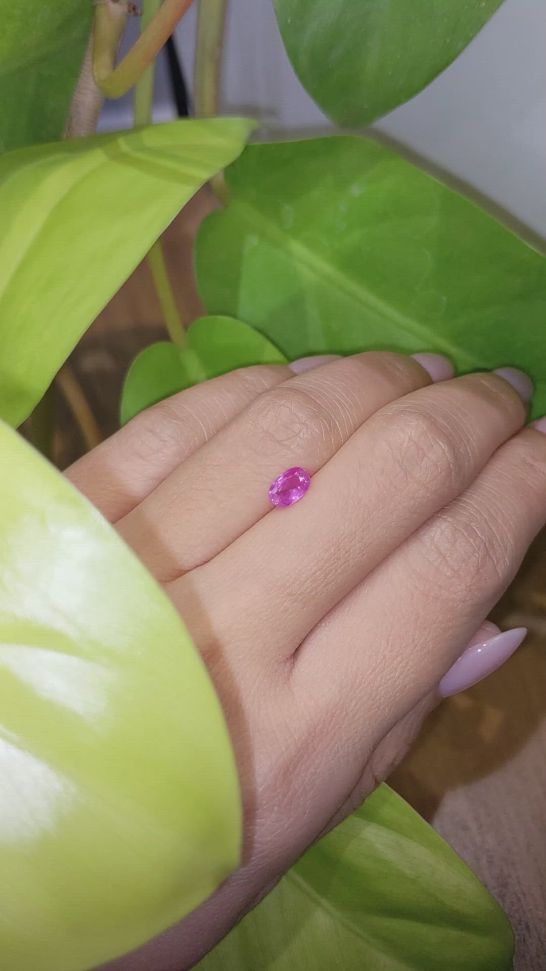 0.69 Ct. Pink Sapphire from Mozambique Size Video