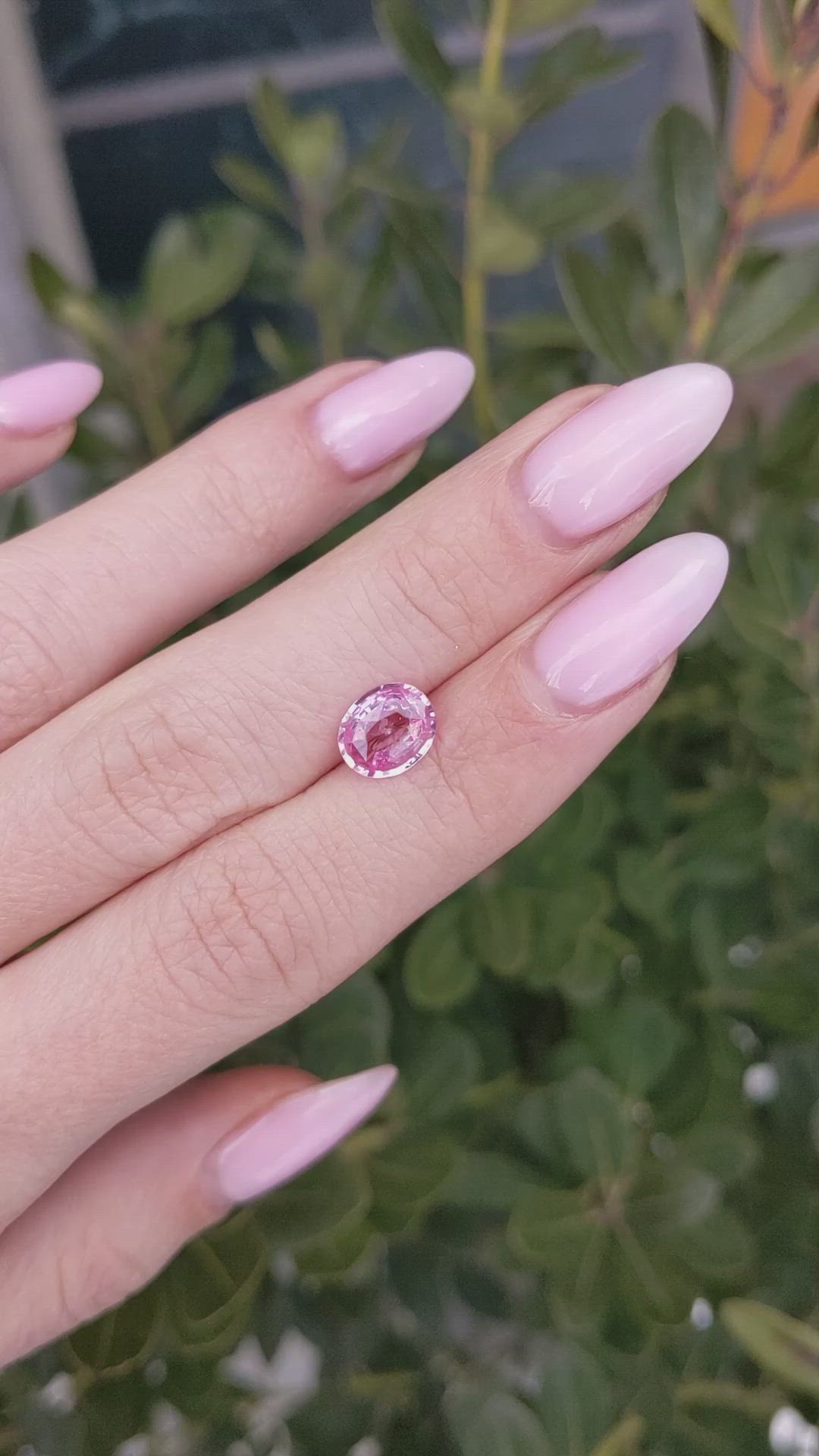 1.82 Ct. Pink Sapphire from Ceylon (Sri Lanka) Size Video