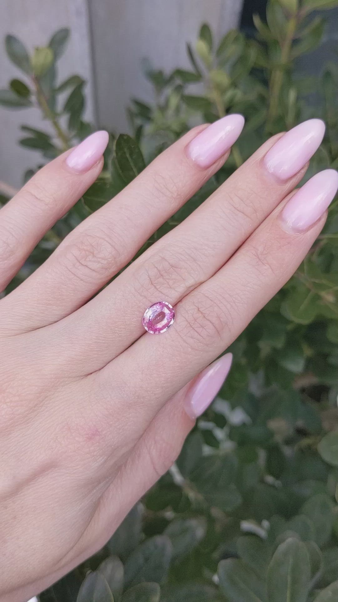 1.82 Ct. Pink Sapphire from Ceylon (Sri Lanka) Size Video