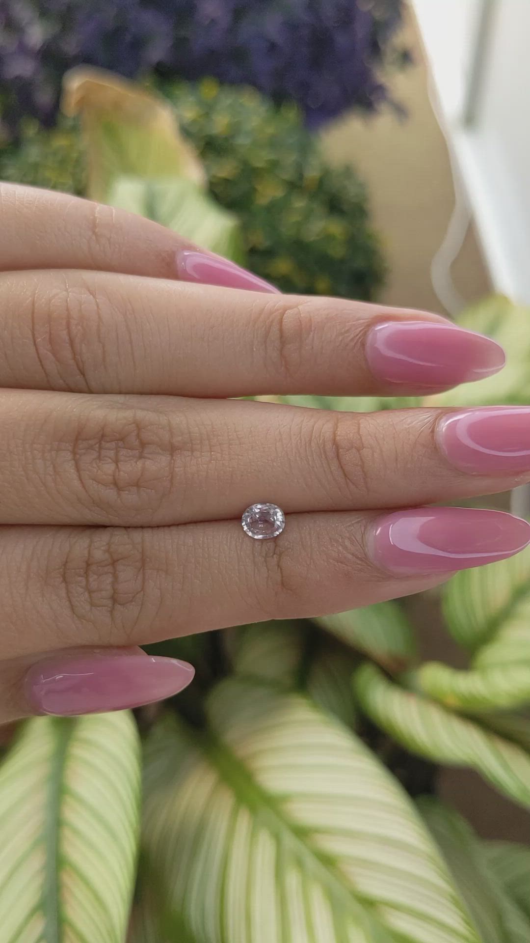 0.50 Ct. Pink Sapphire from Ceylon (Sri Lanka) Size Video