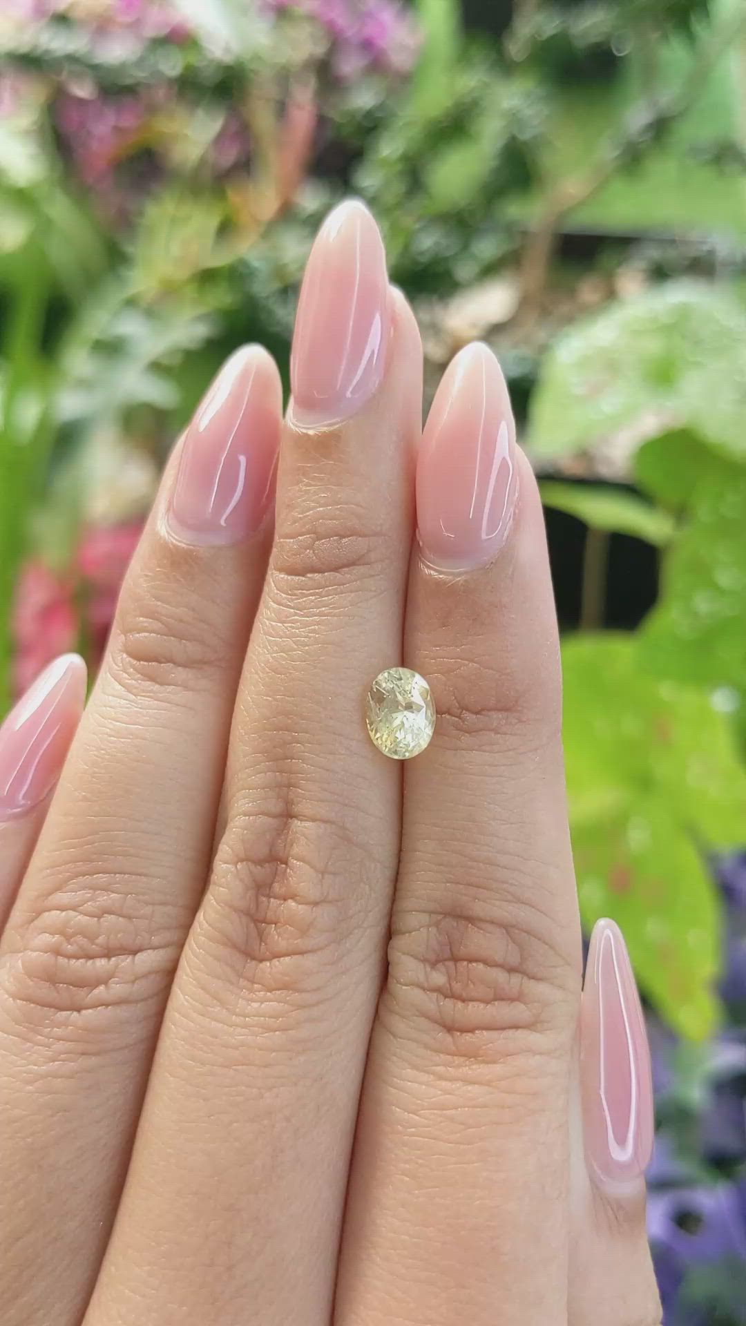 1.58 Ct. Yellow Sapphire from Ceylon (Sri Lanka) Size Video