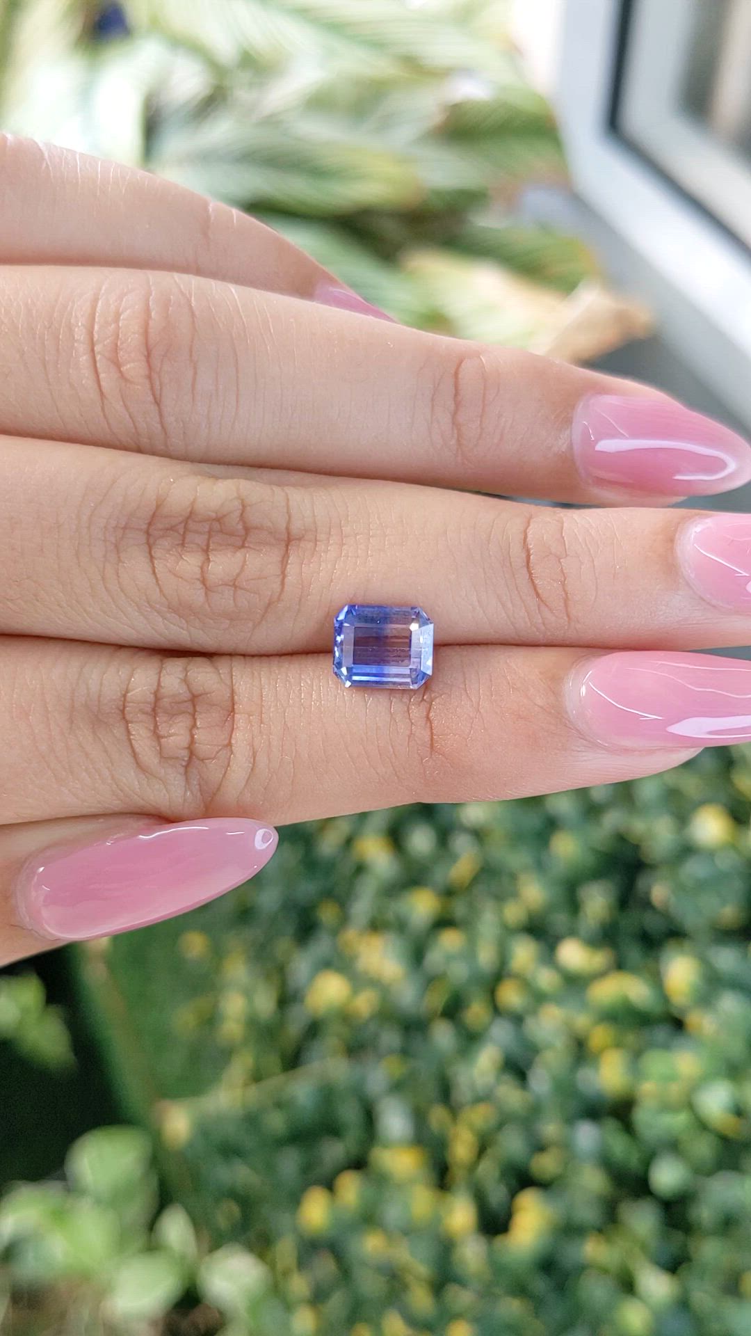 2.41 Ct. Bi Color Sapphire from Ceylon (Sri Lanka) Size Video