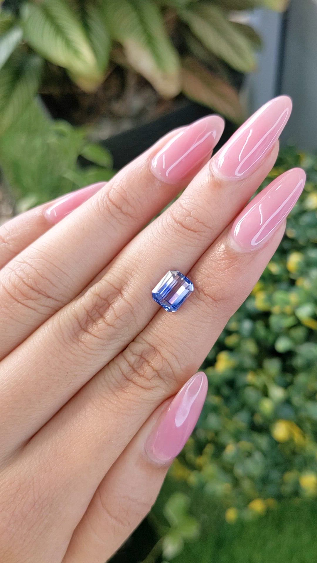 2.41 Ct. Bi Color Sapphire from Ceylon (Sri Lanka) Size Video