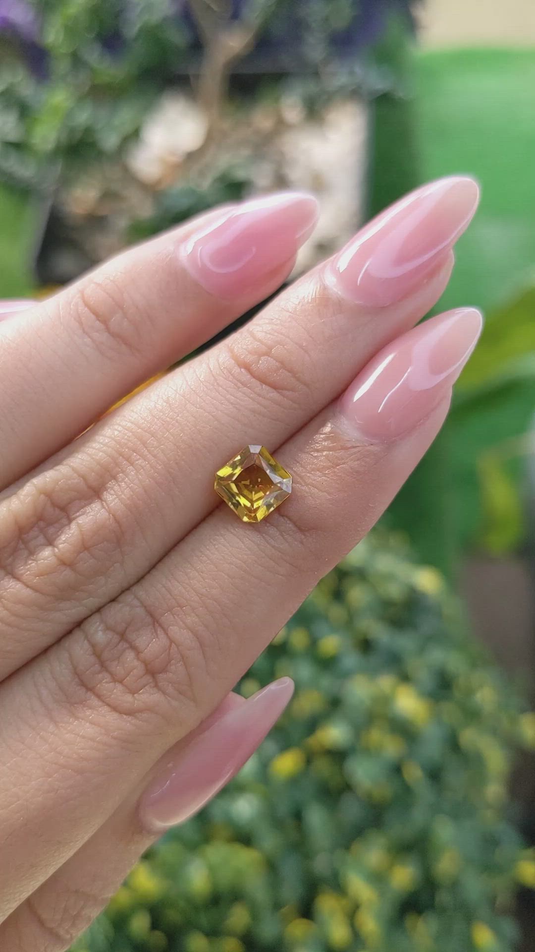 1.60 Ct. Yellowish Orange Sapphire from Ceylon (Sri Lanka) Size Video