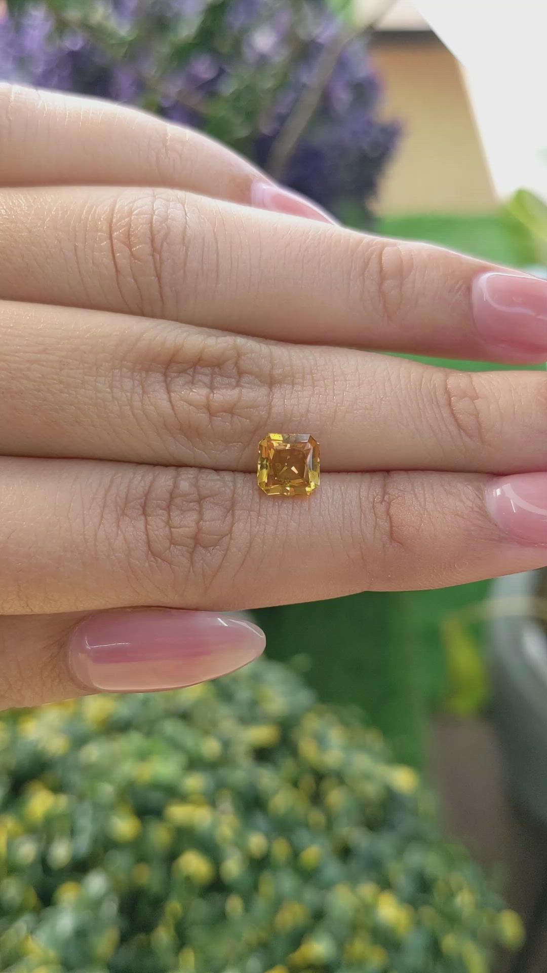 1.60 Ct. Yellowish Orange Sapphire from Ceylon (Sri Lanka) Size Video