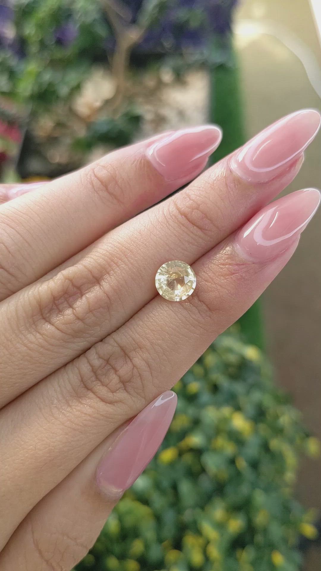 1.62 Ct. Peach Sapphire from Ceylon (Sri Lanka) Size Video