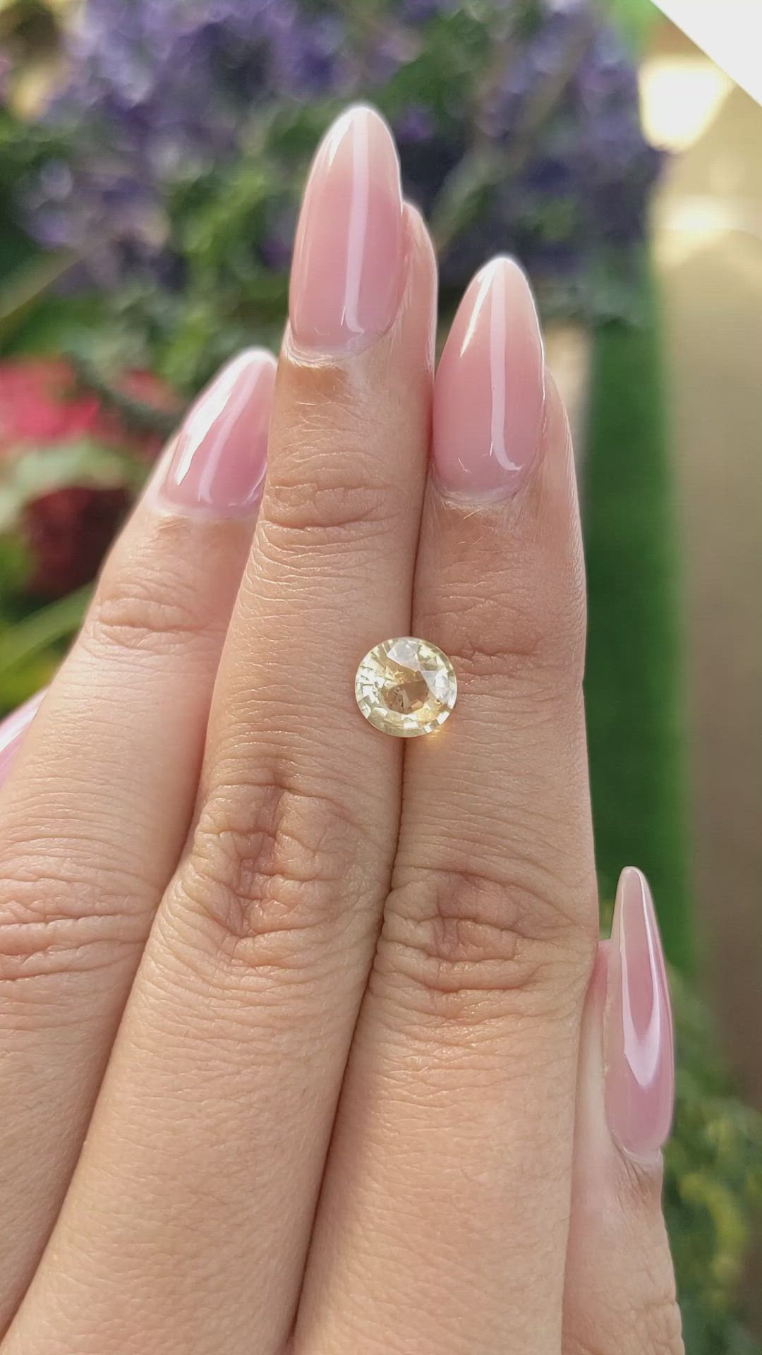 1.62 Ct. Peach Sapphire from Ceylon (Sri Lanka) Size Video