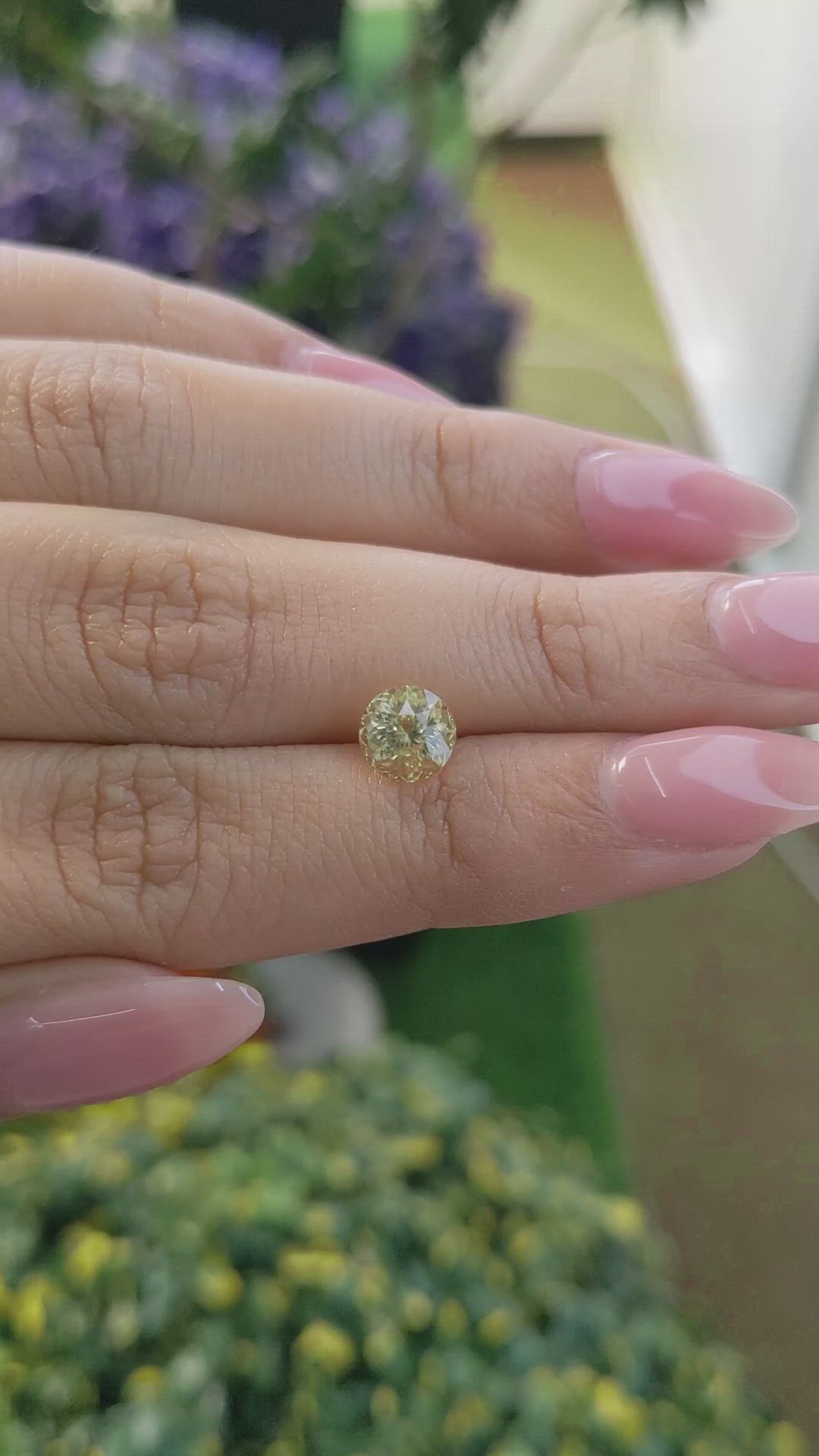 1.77 Ct. Yellow Sapphire from Ceylon (Sri Lanka) Size Video
