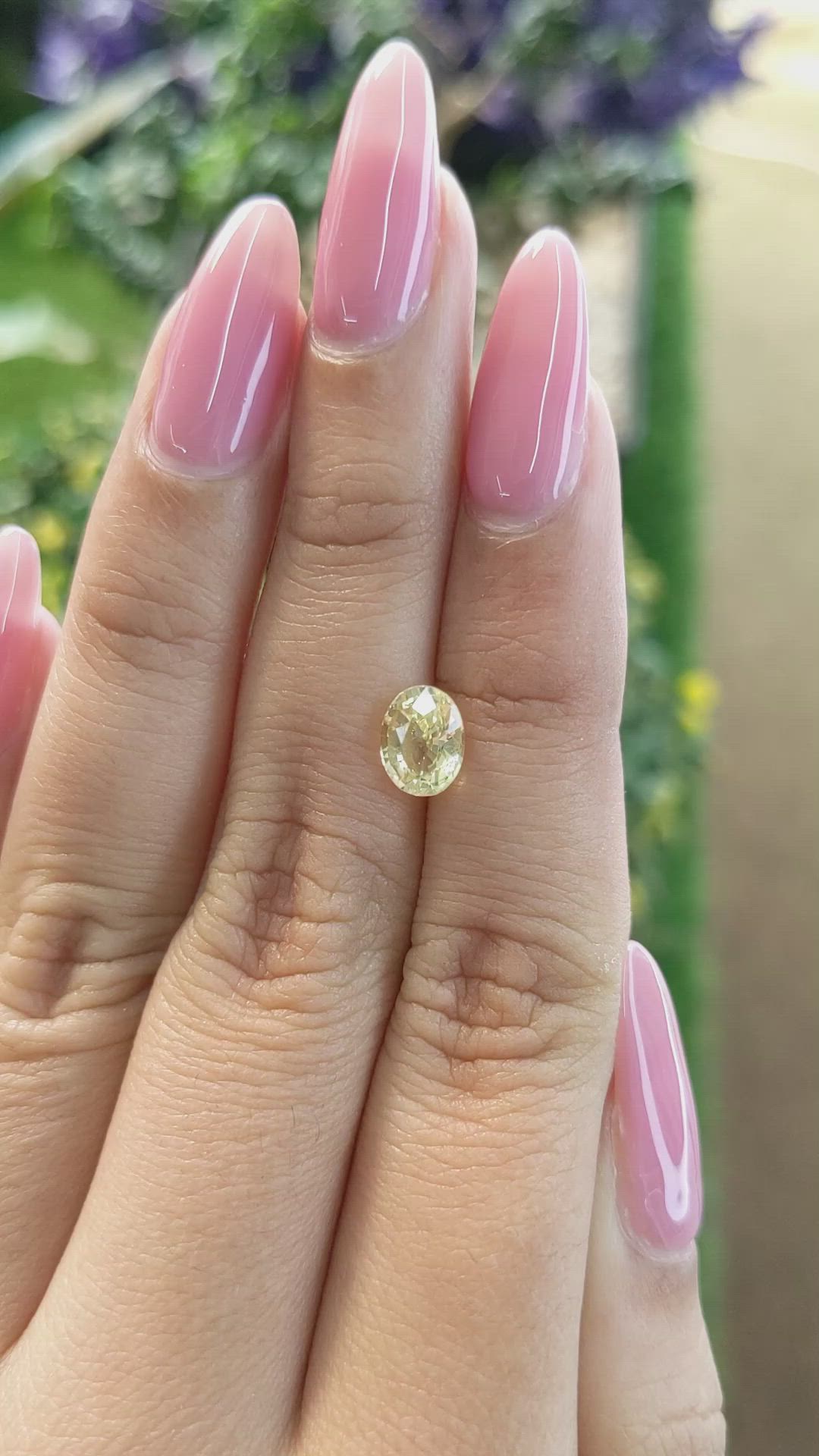 1.65 Ct. Yellow Sapphire from Ceylon (Sri Lanka) Size Video