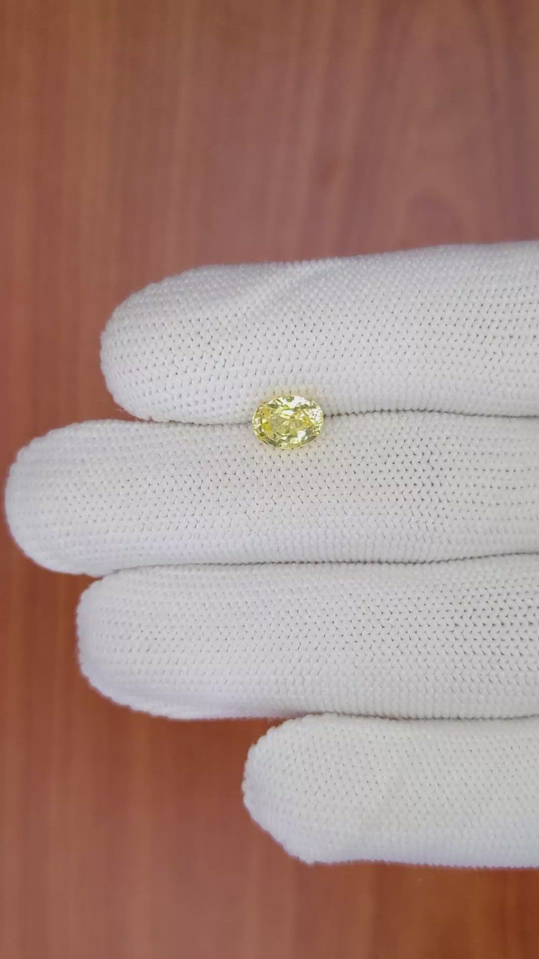 1.65 Ct. Yellow Sapphire from Ceylon (Sri Lanka) Size Video