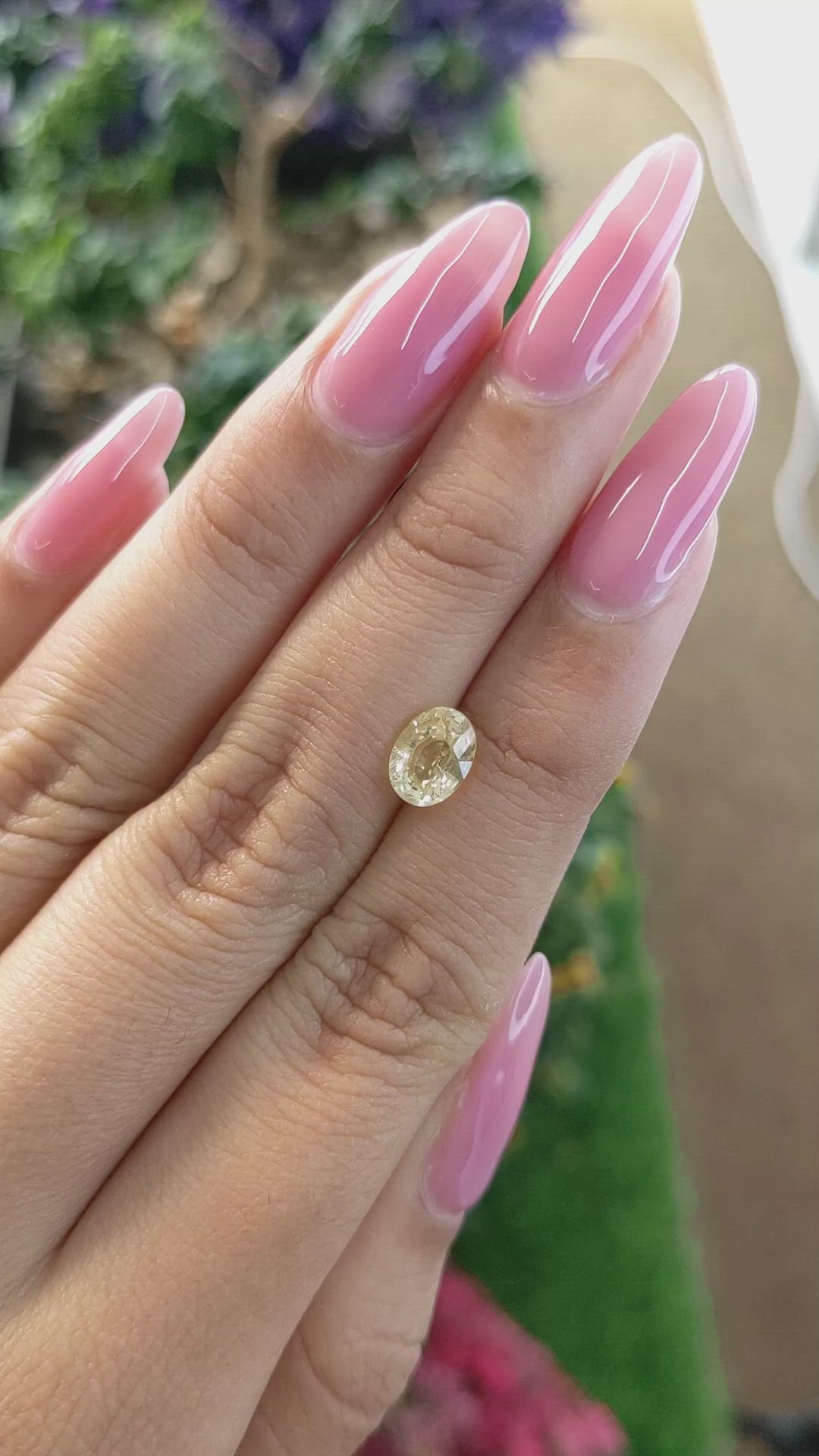 1.65 Ct. Yellow Sapphire from Ceylon (Sri Lanka) Size Video