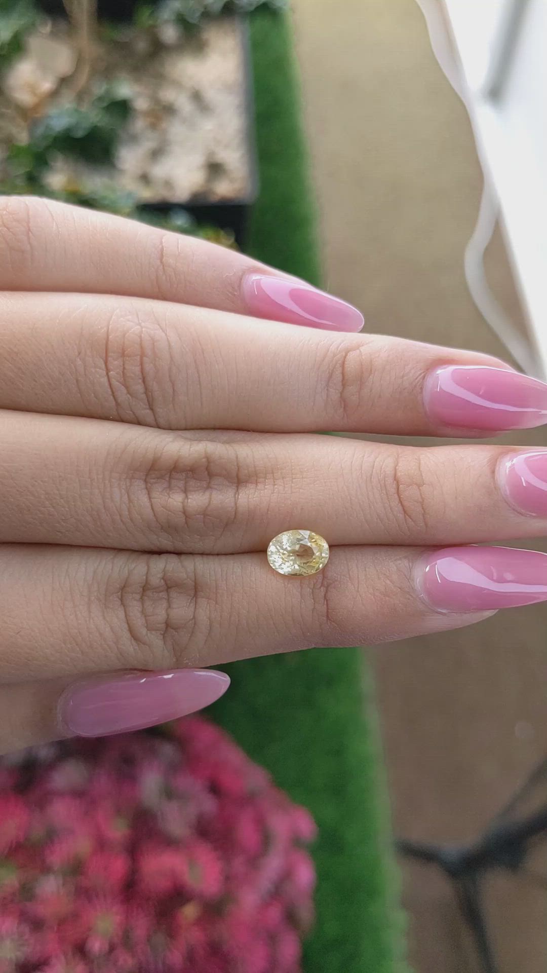 1.65 Ct. Yellow Sapphire from Ceylon (Sri Lanka) Size Video
