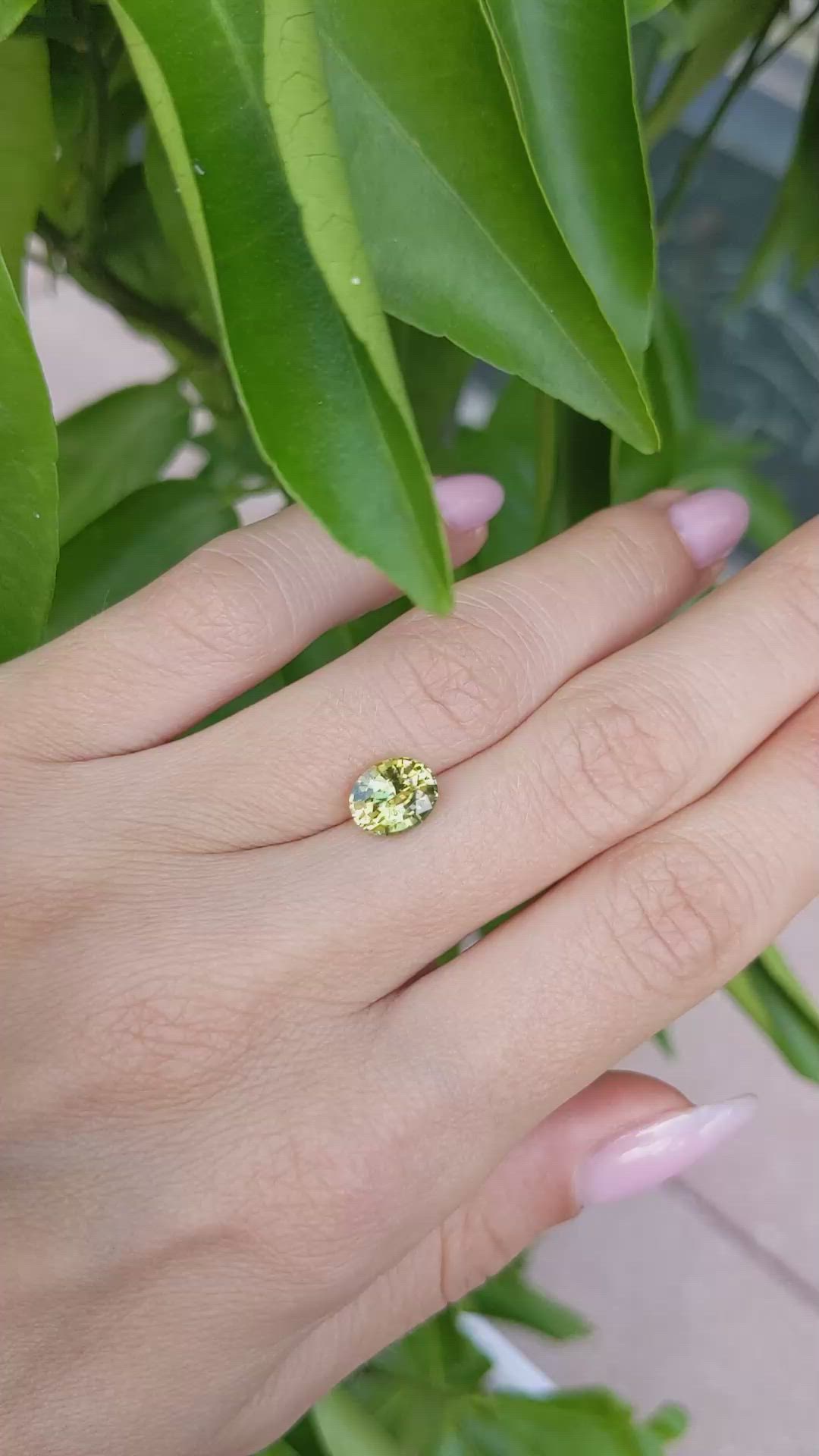 2.06 Ct. Yellowish Green Sapphire from Ceylon (Sri Lanka) Size Video