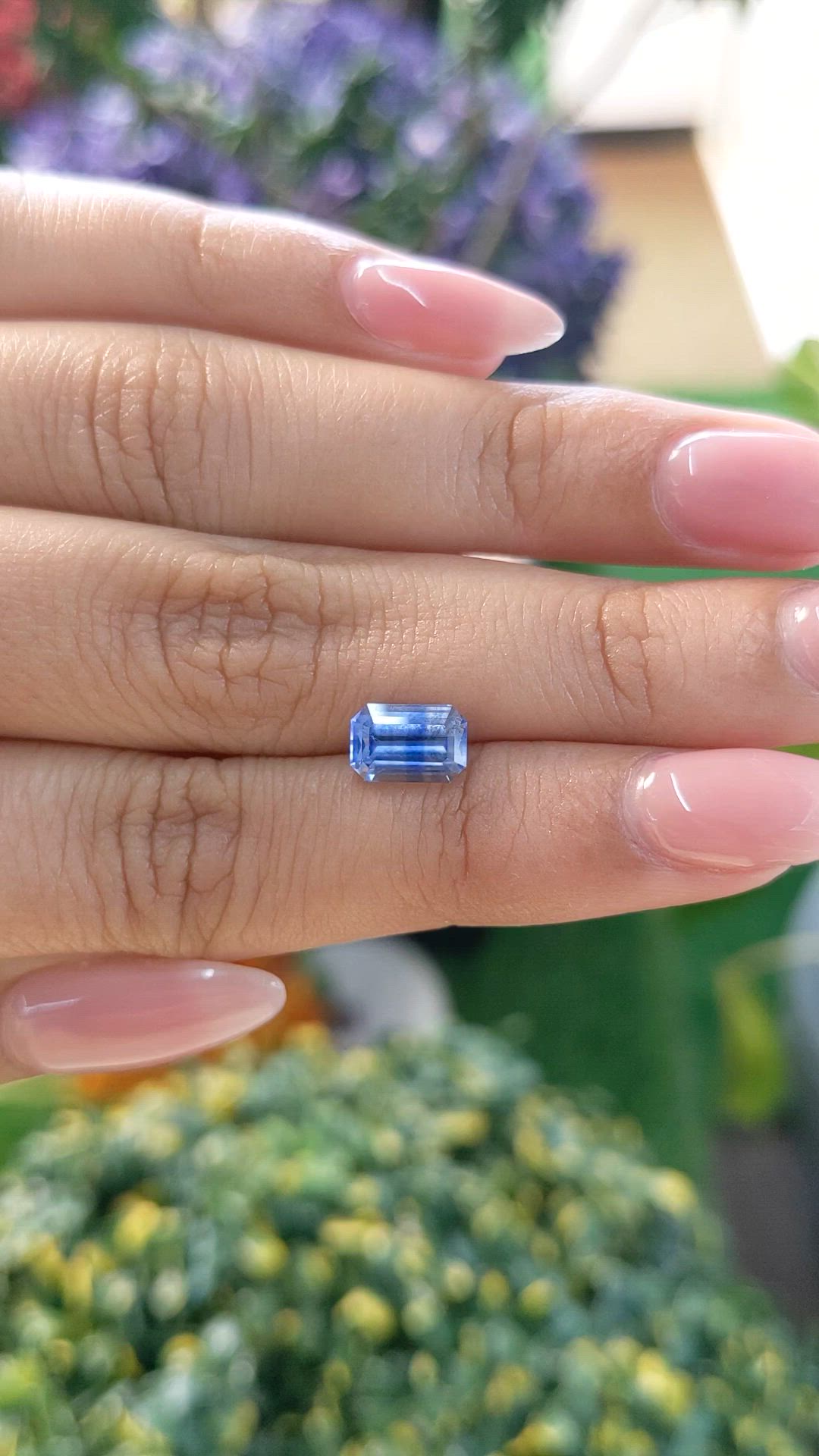 2.19 Ct. Bi Color Sapphire from Ceylon (Sri Lanka) Size Video