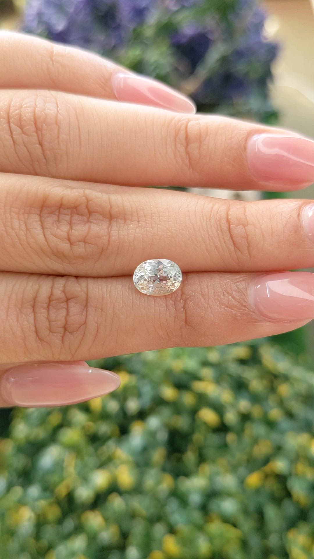 1.66 Ct. Yellow Sapphire from Ceylon (Sri Lanka) Size Video