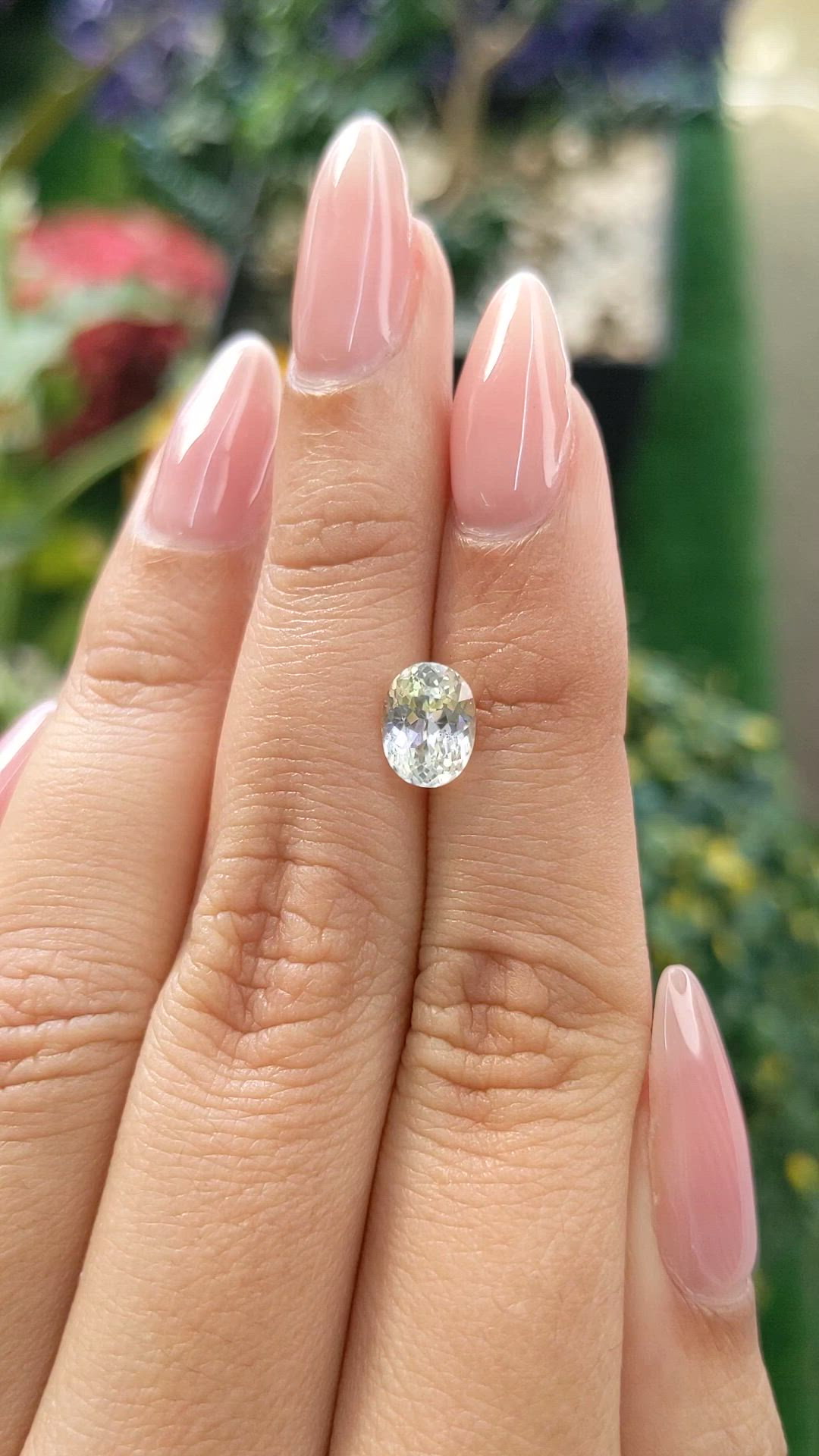 1.66 Ct. Yellow Sapphire from Ceylon (Sri Lanka) Size Video