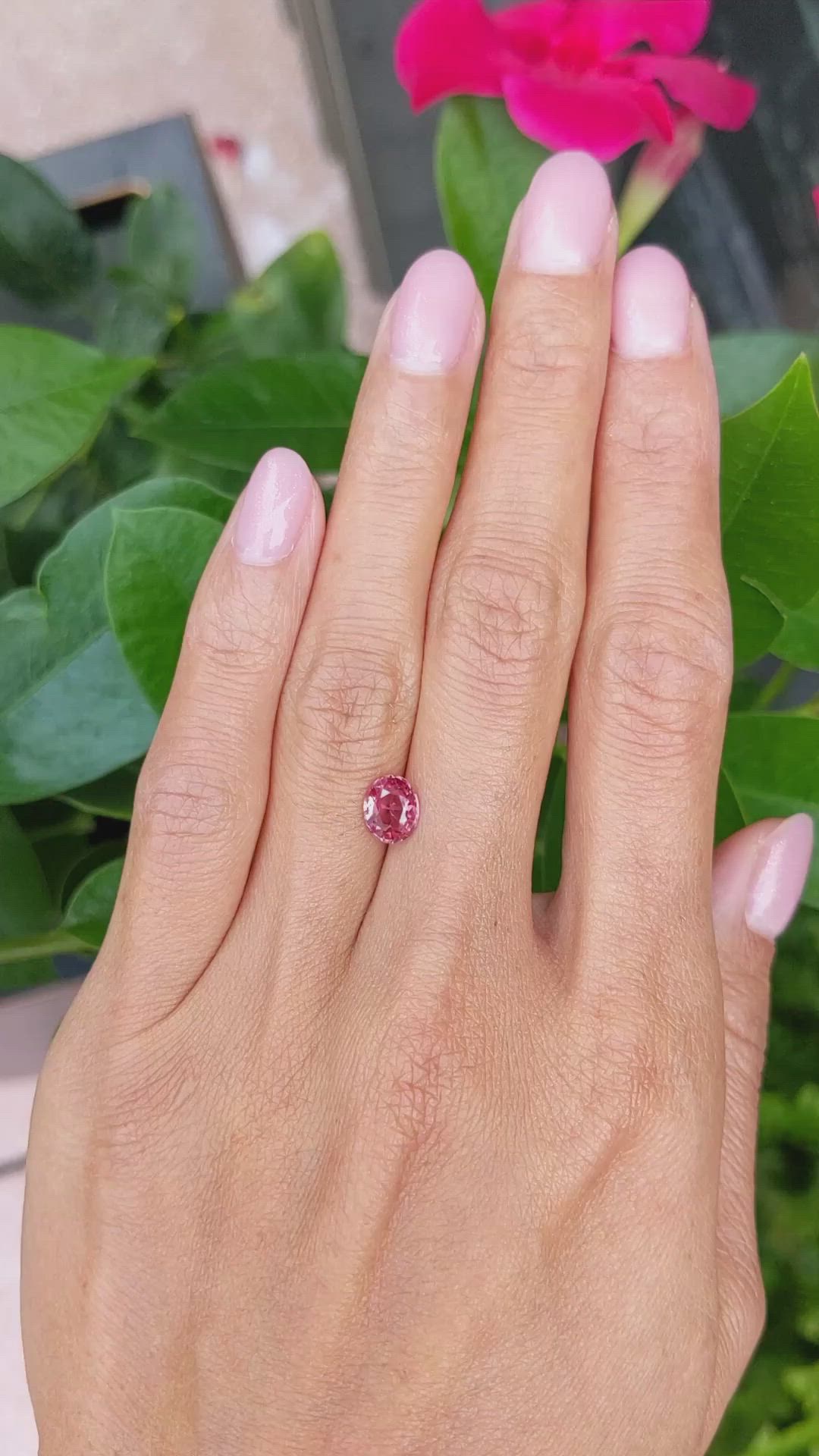 1.24 Ct. Padparadscha Sapphire from Ceylon (Sri Lanka) Size Video