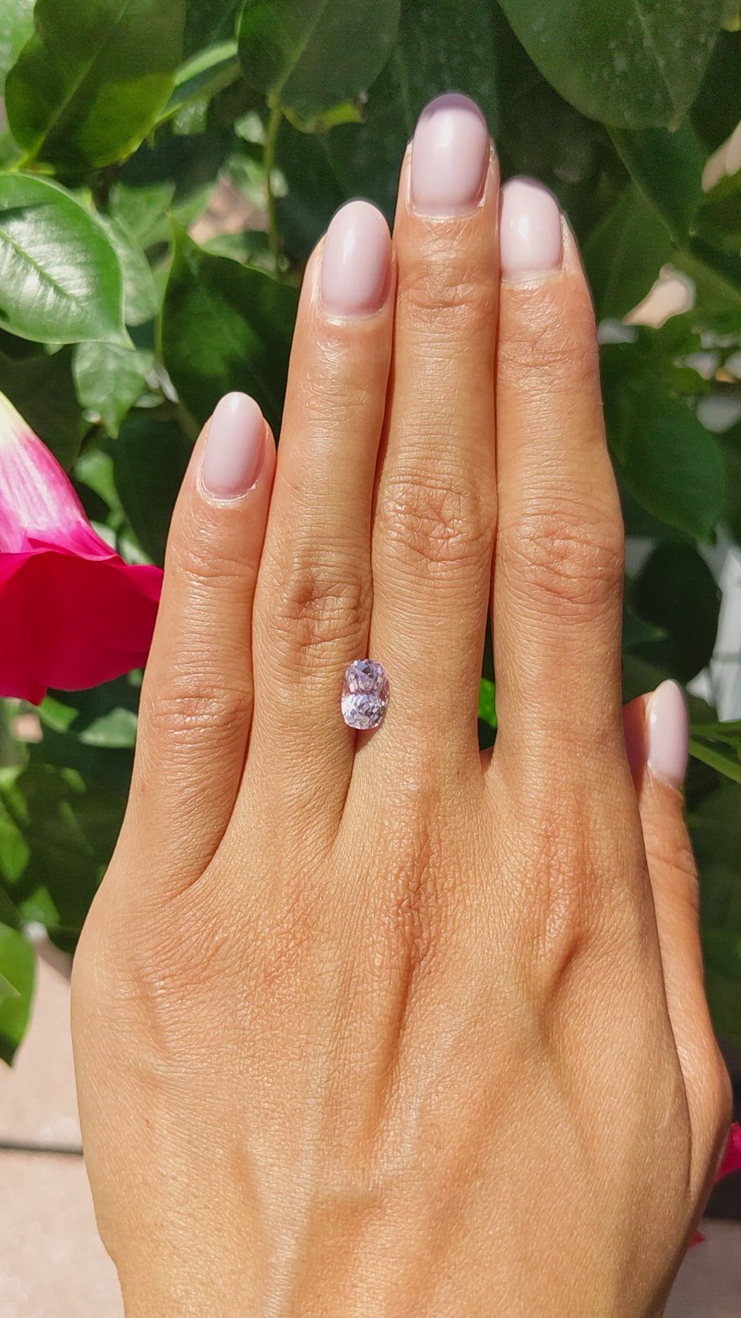 2.31 Ct. Pink Sapphire from Ceylon (Sri Lanka) Size Video