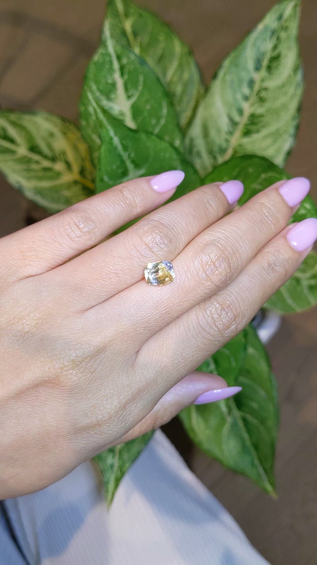 2.71 Ct. Bi Color Sapphire from Ceylon (Sri Lanka) Size Video