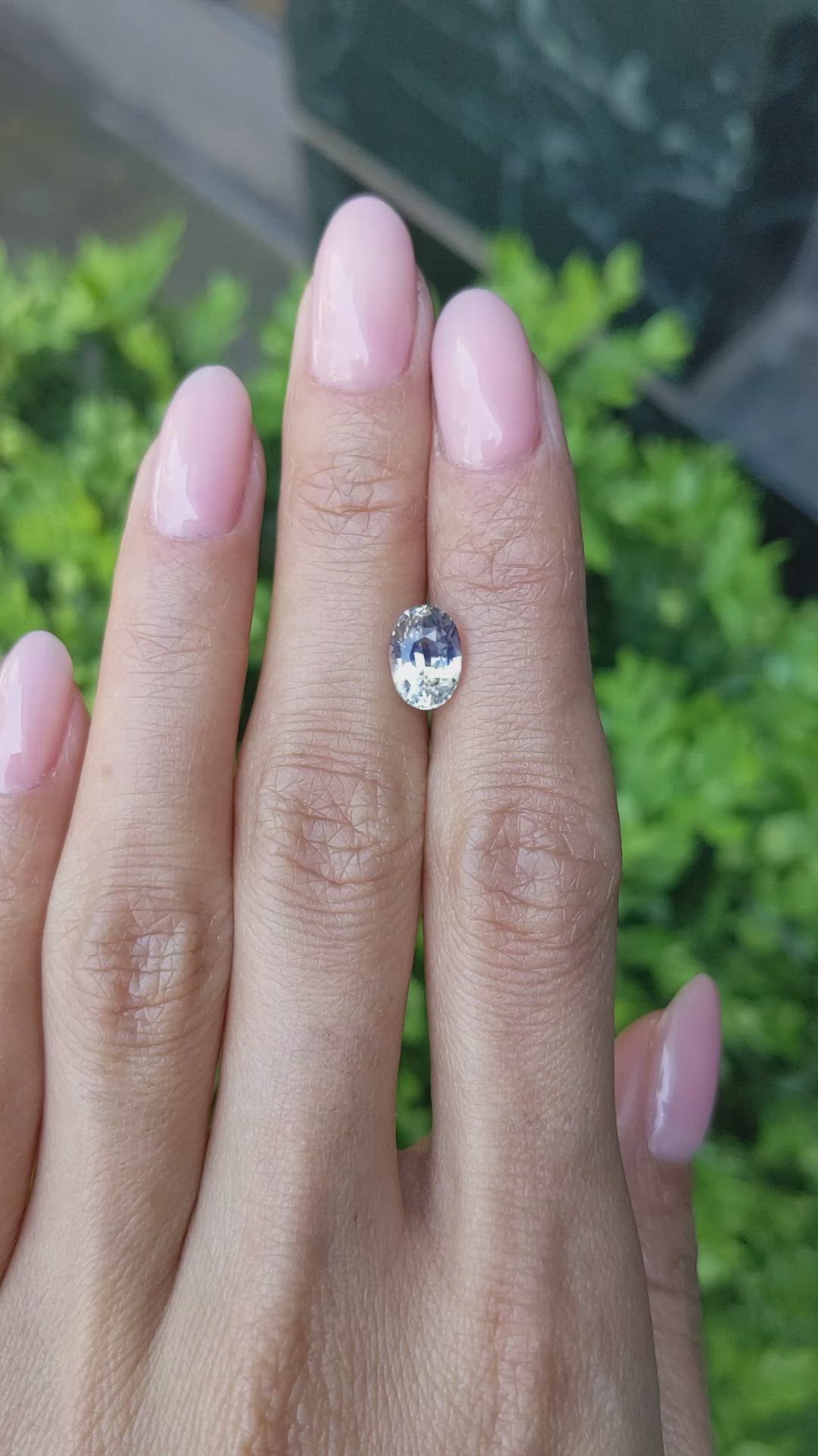 2.44 Ct. Bi Color Sapphire from Ceylon (Sri Lanka) Size Video