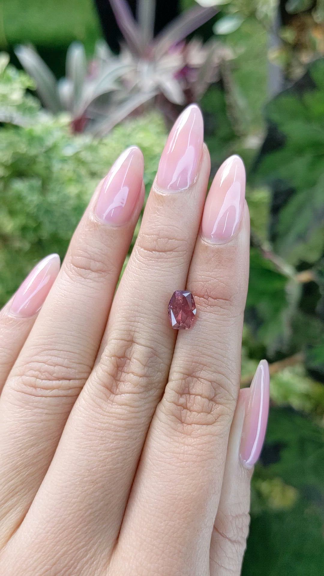 1.71 Ct. Reddish Pink Sapphire from Ceylon (Sri Lanka) Size Video