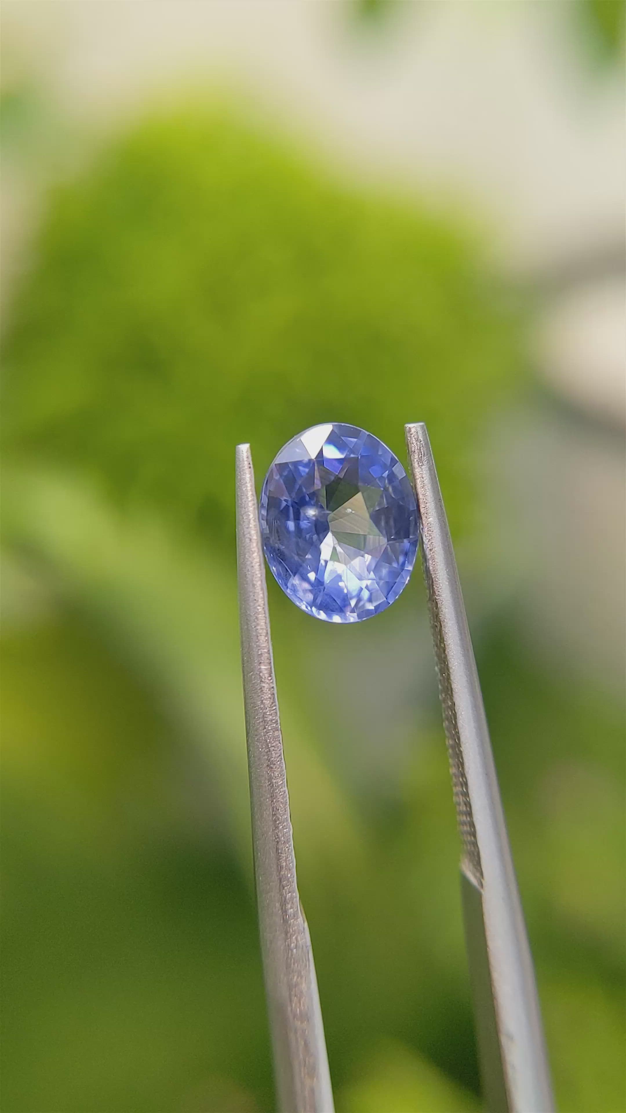 1.51 Ct. Blue Sapphire from Ceylon (Sri Lanka) Size Video