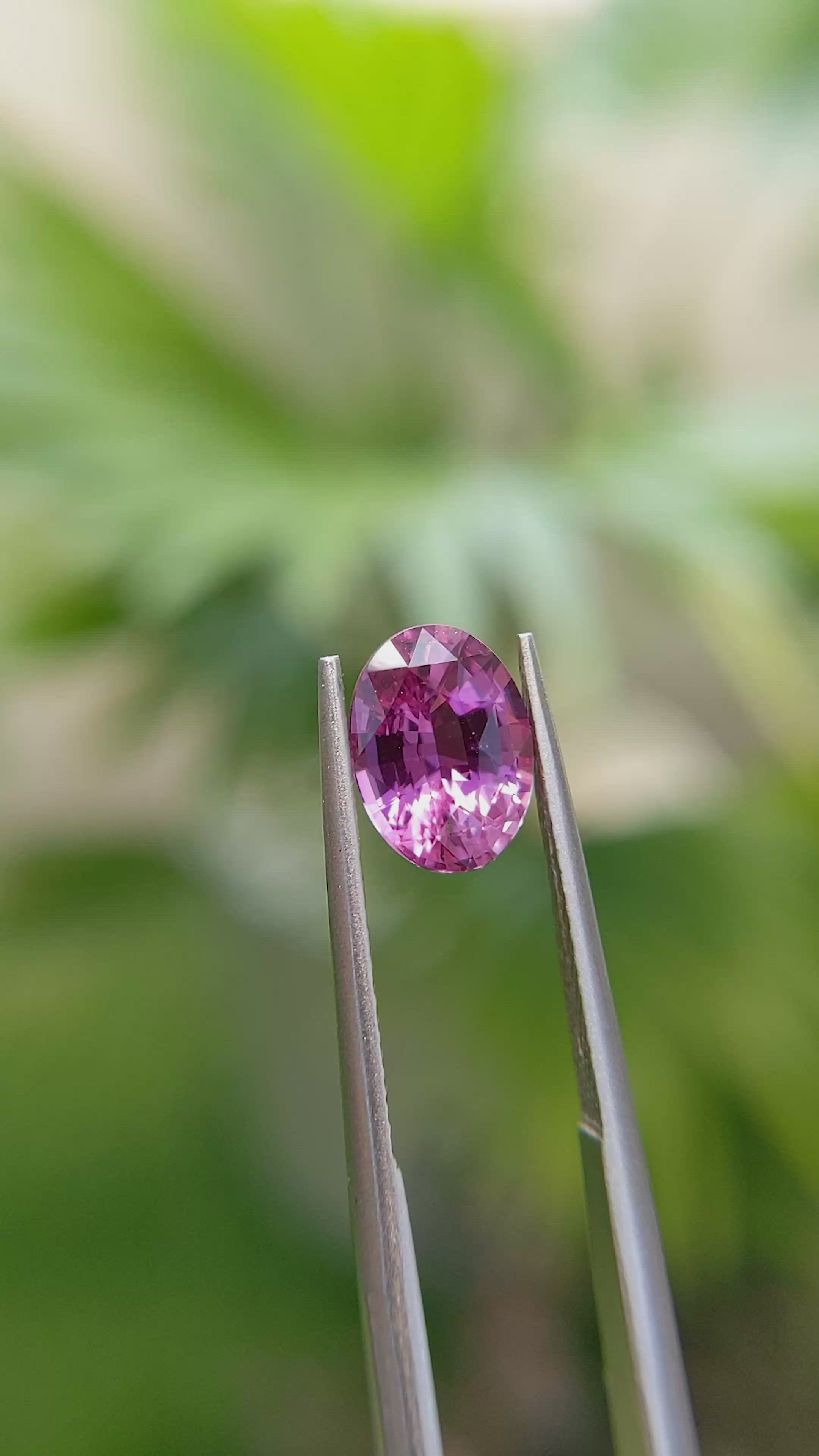 2.23 Ct. Pink Sapphire from Ceylon (Sri Lanka) Size Video